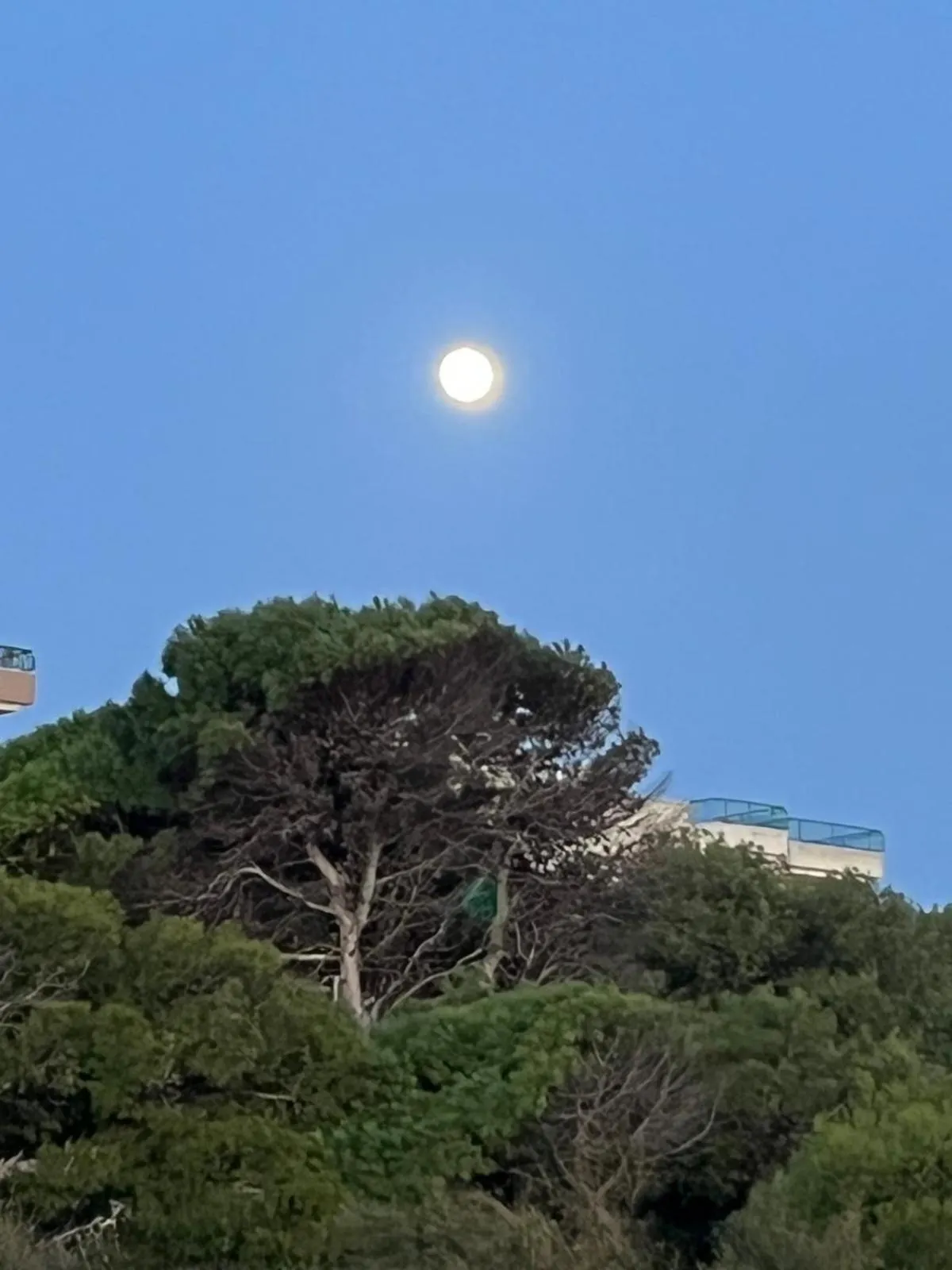 Le Finestre Su Porta Carrese - Luxury Rooms