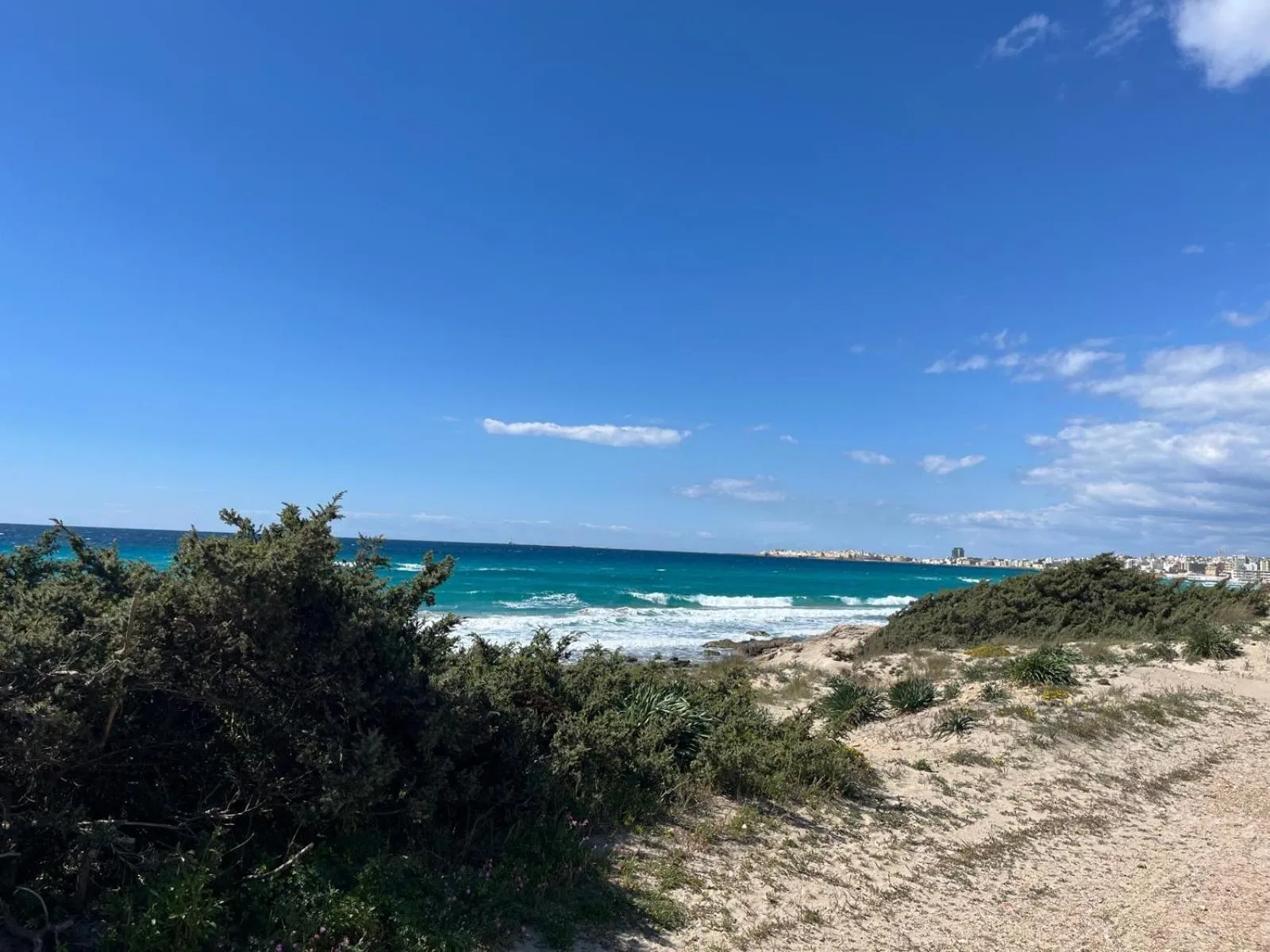 Le Finestre Su Porta Carrese - Luxury Rooms