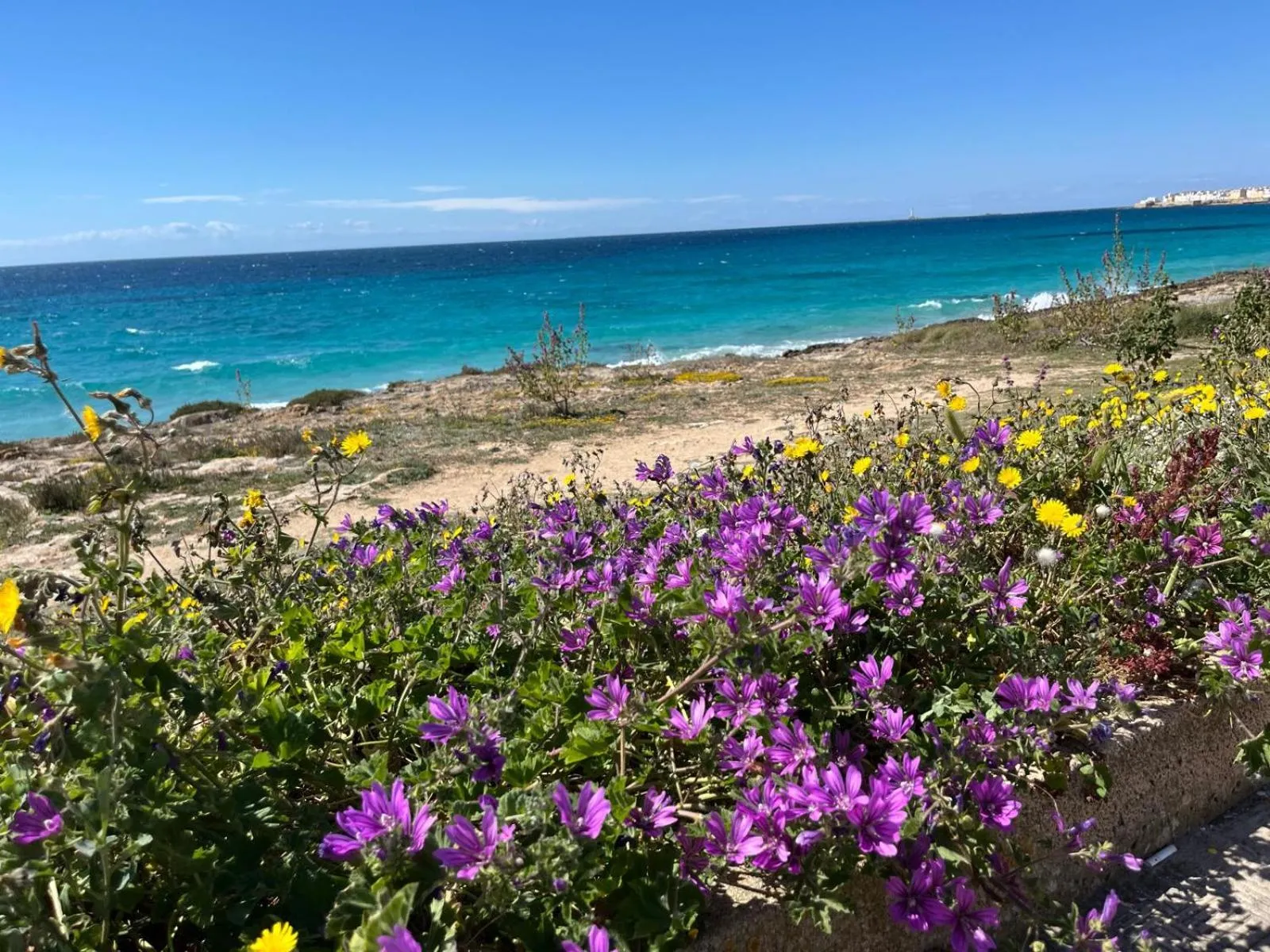 Le Finestre Su Porta Carrese - Luxury Rooms