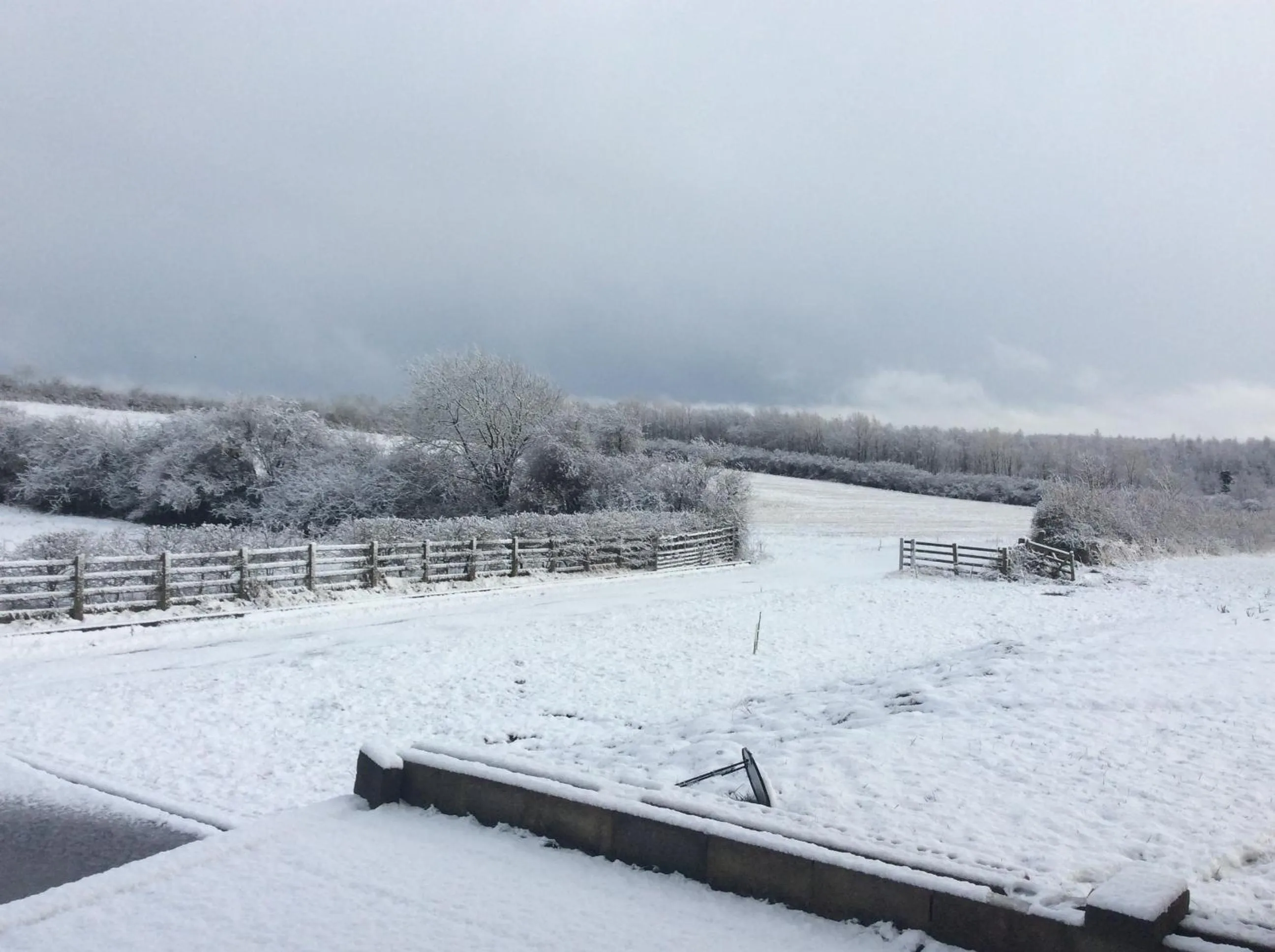 Natural landscape in Marehay Hall Farm