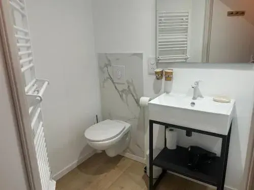 Double Room in Hôtel & Restaurant Le Patio VICHY Double Room in Hôtel & Restaurant Le Patio VICHY