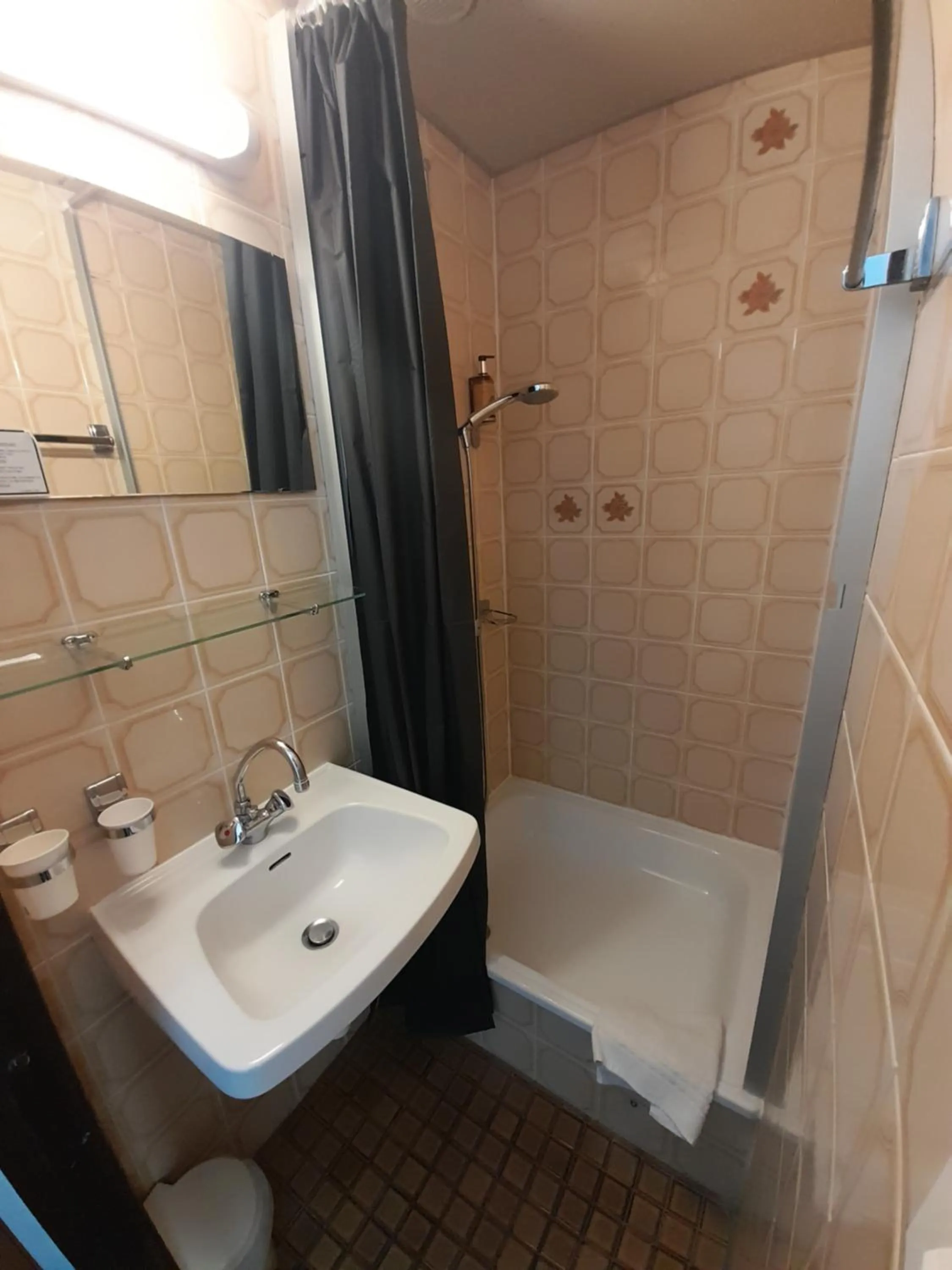 Shower in Hôtel & Restaurant Le Patio VICHY