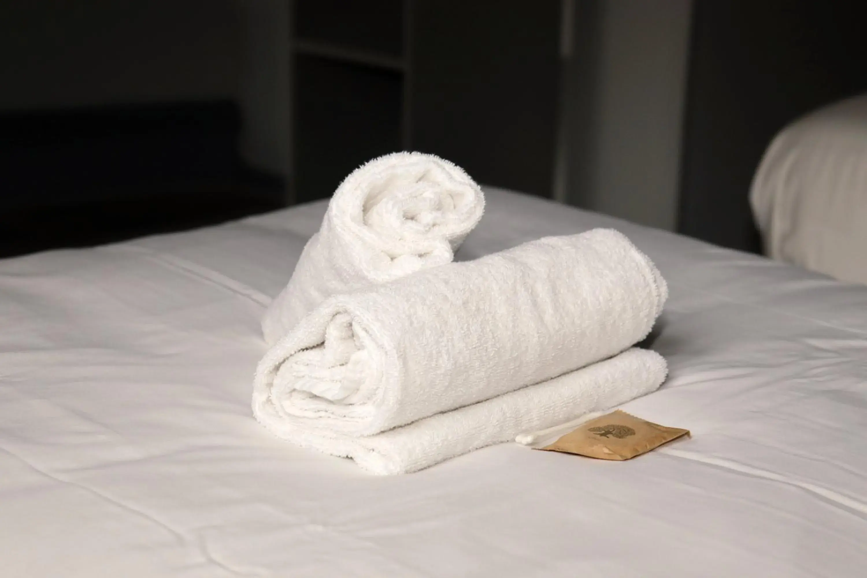 Twin Room in Hôtel & Restaurant Le Patio VICHY Twin Room in Hôtel & Restaurant Le Patio VICHY