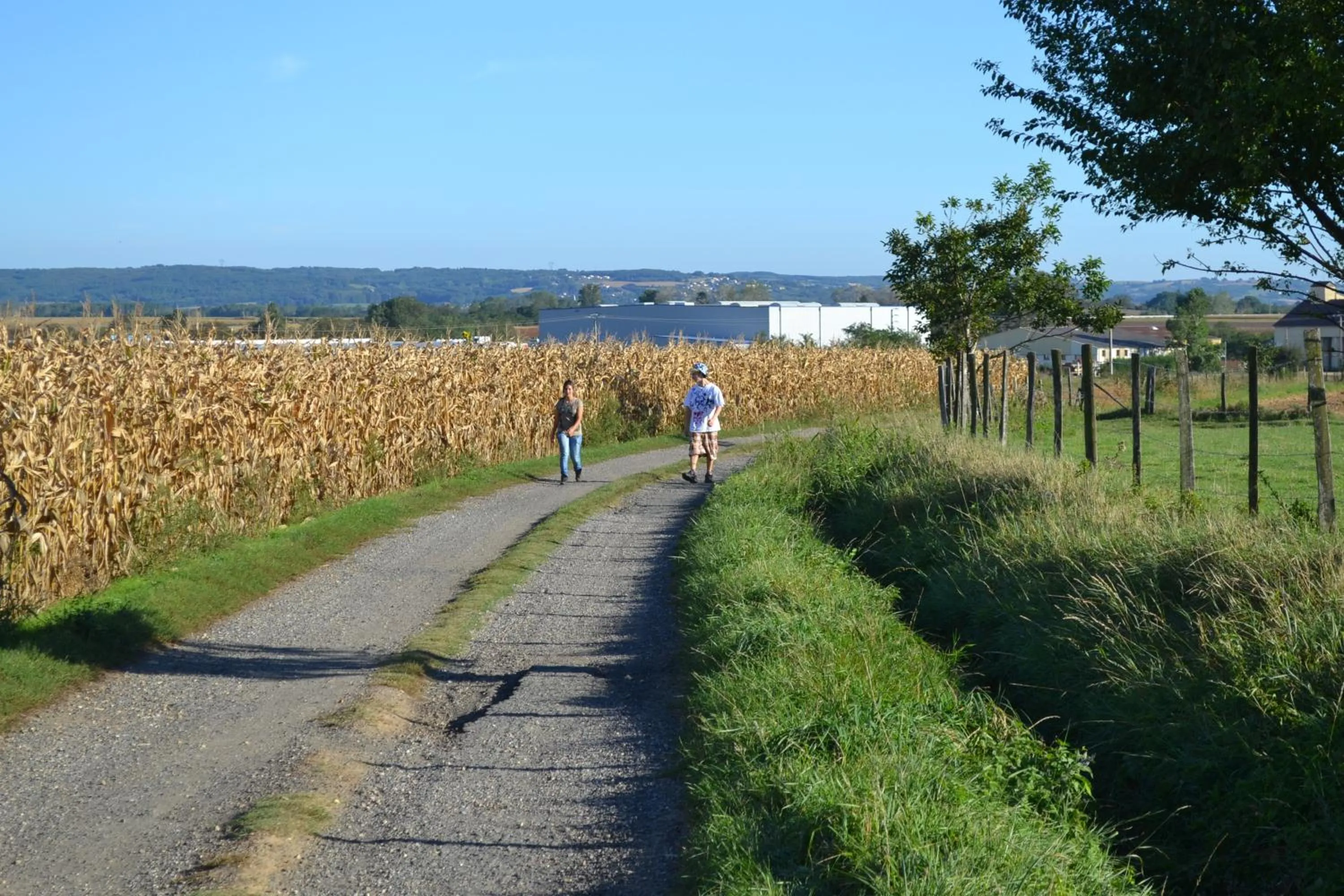 Day, Garden in Relais 500 De Vienne