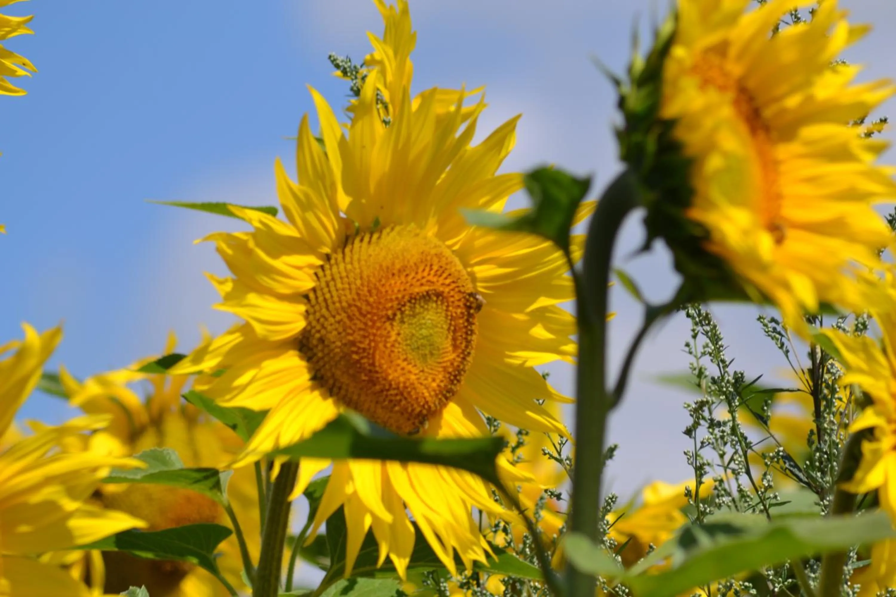 Day in Relais 500 De Vienne