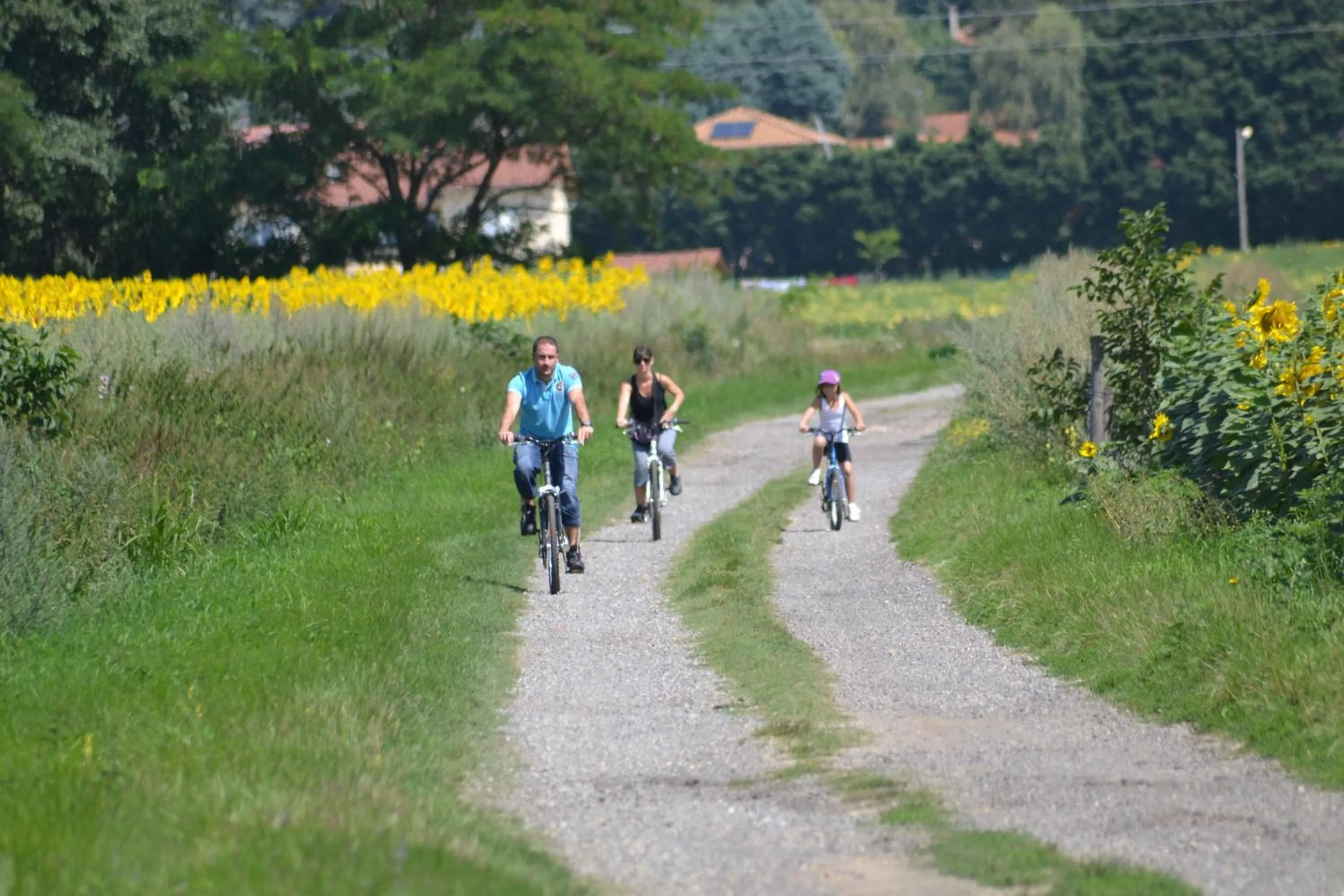 Activities in Relais 500 De Vienne