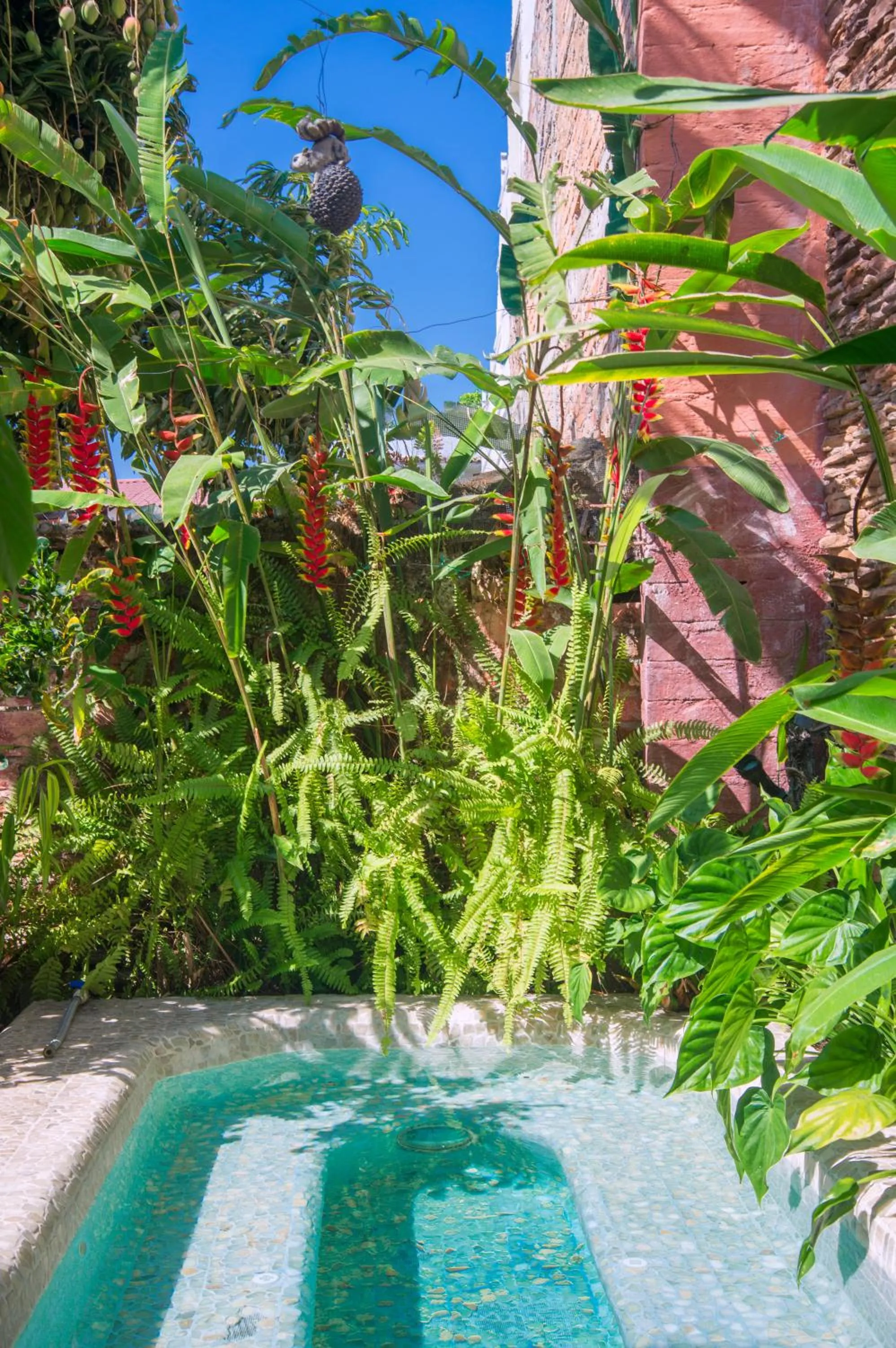 Swimming pool in Casa Romance Escondido