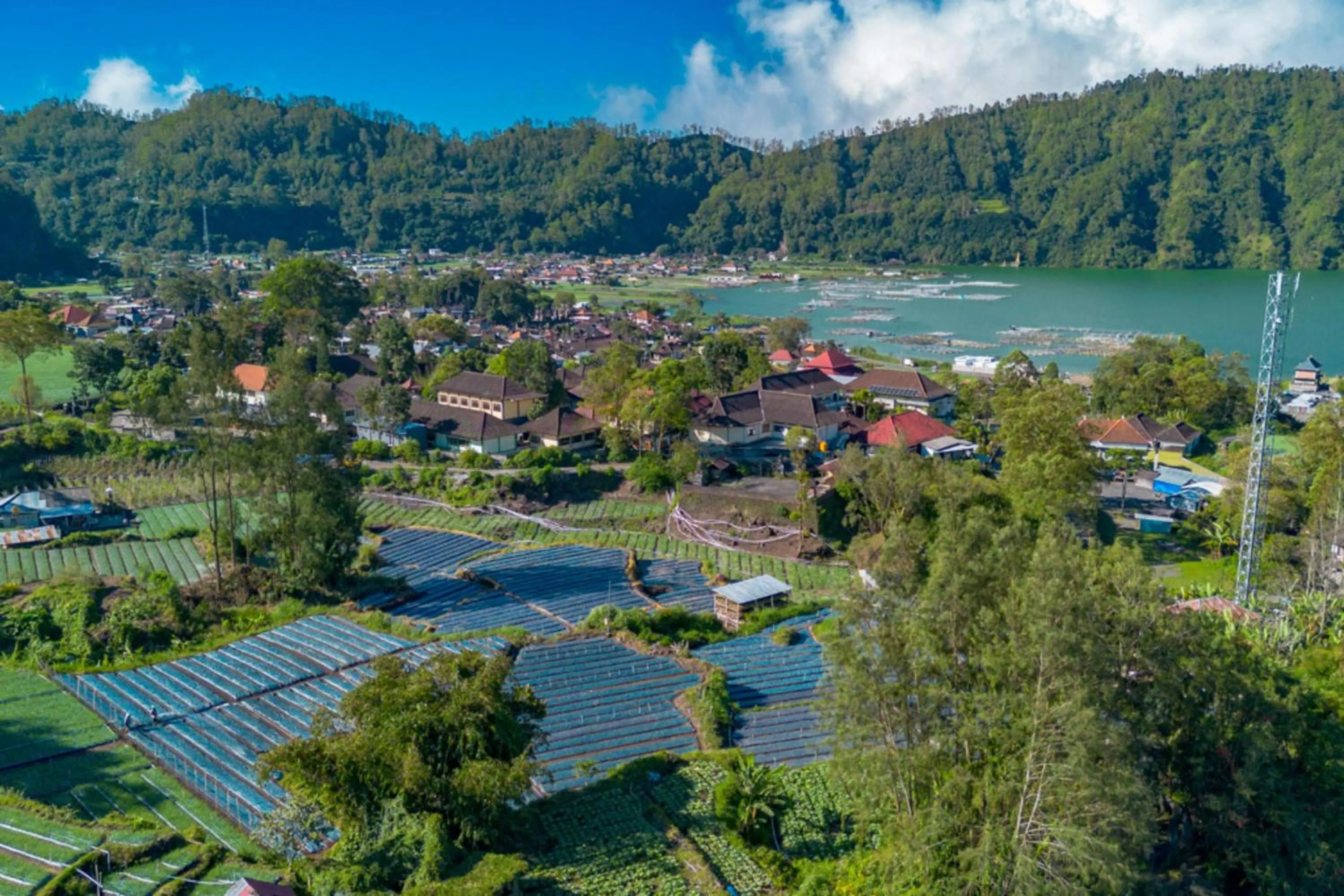 Spring in Bamboo Mount Batur and Hot Spring