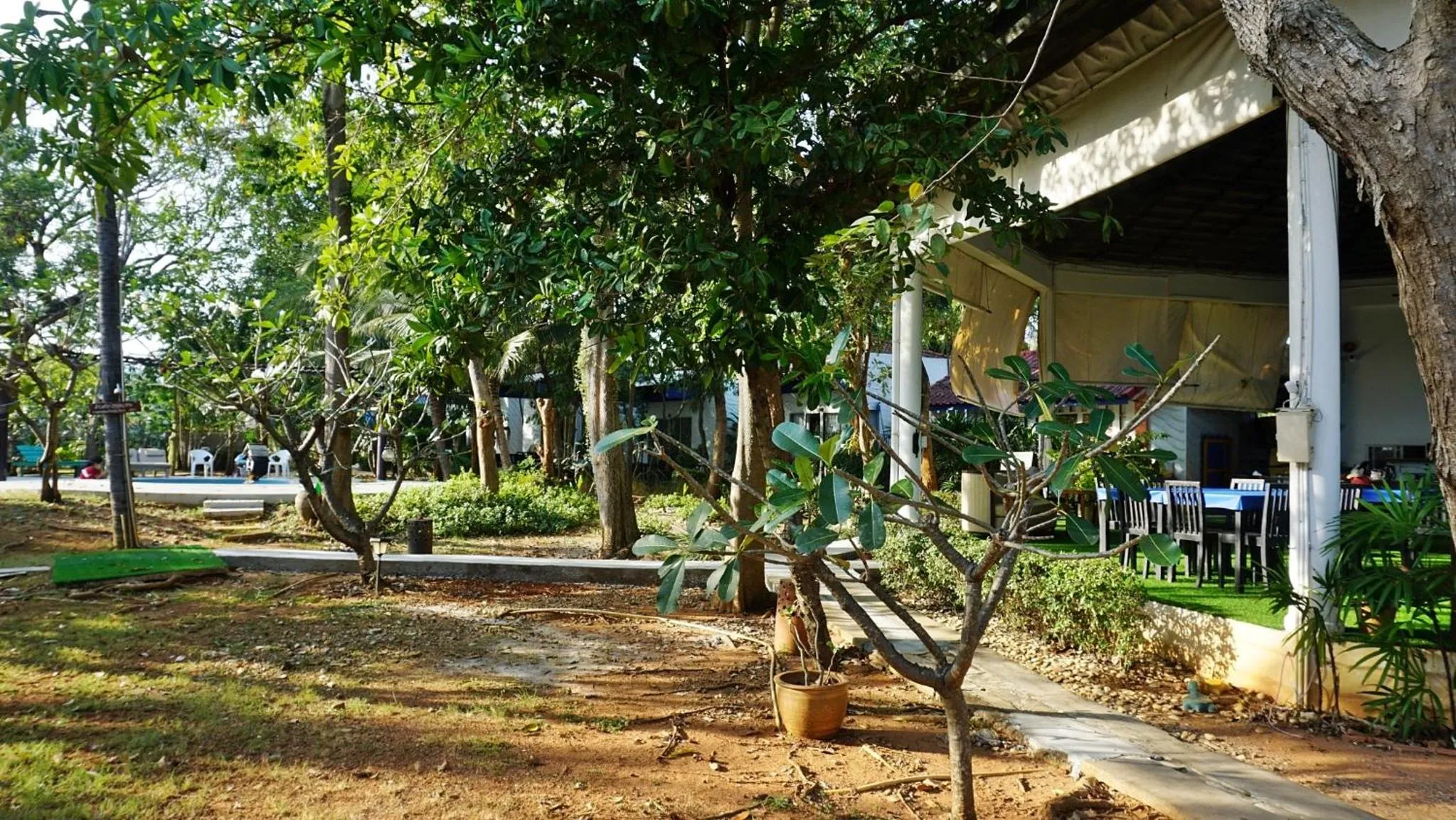 Garden in Kalamona Seaview