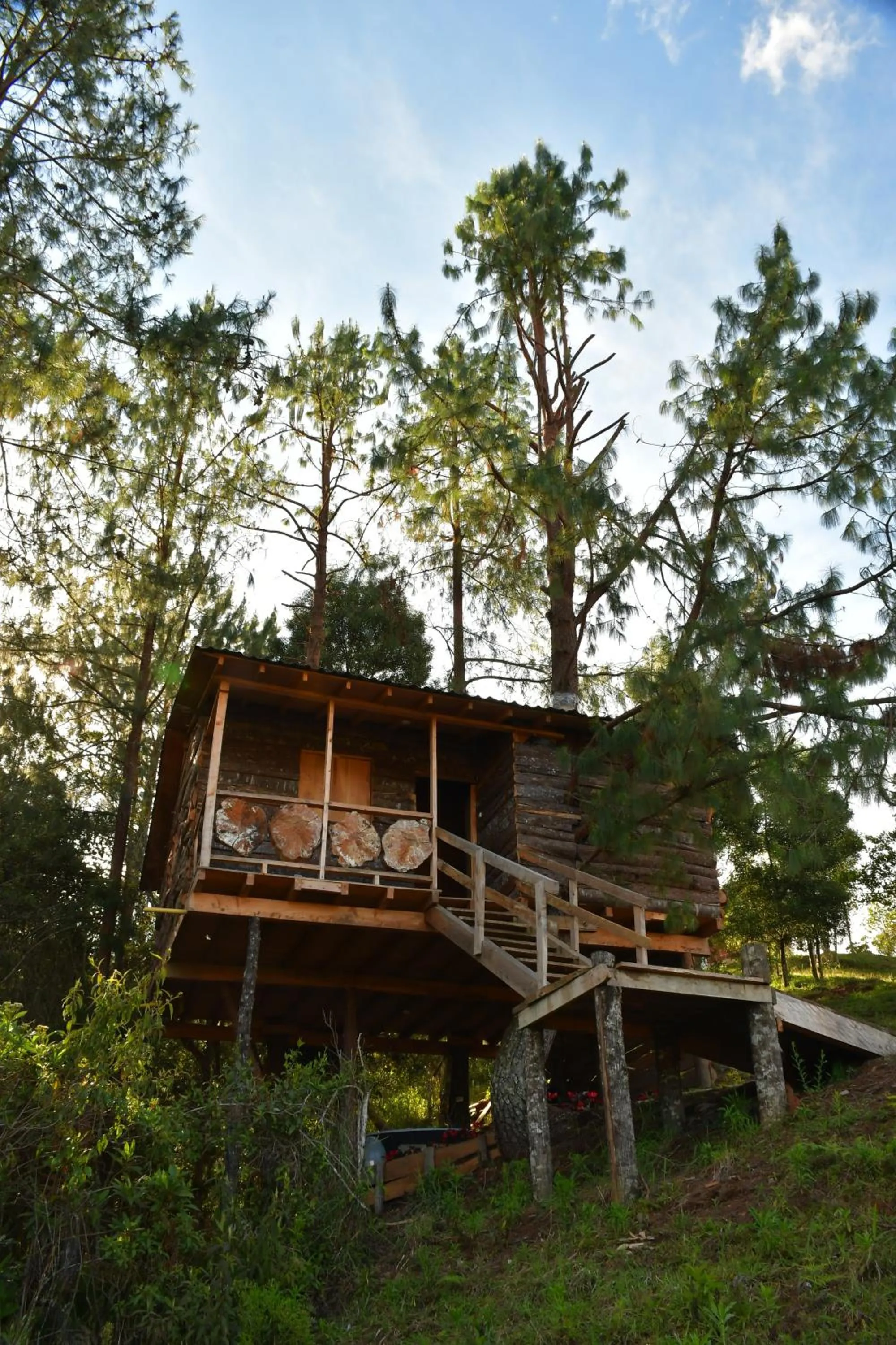 Property building in Glamping Ancestros Ecoparque