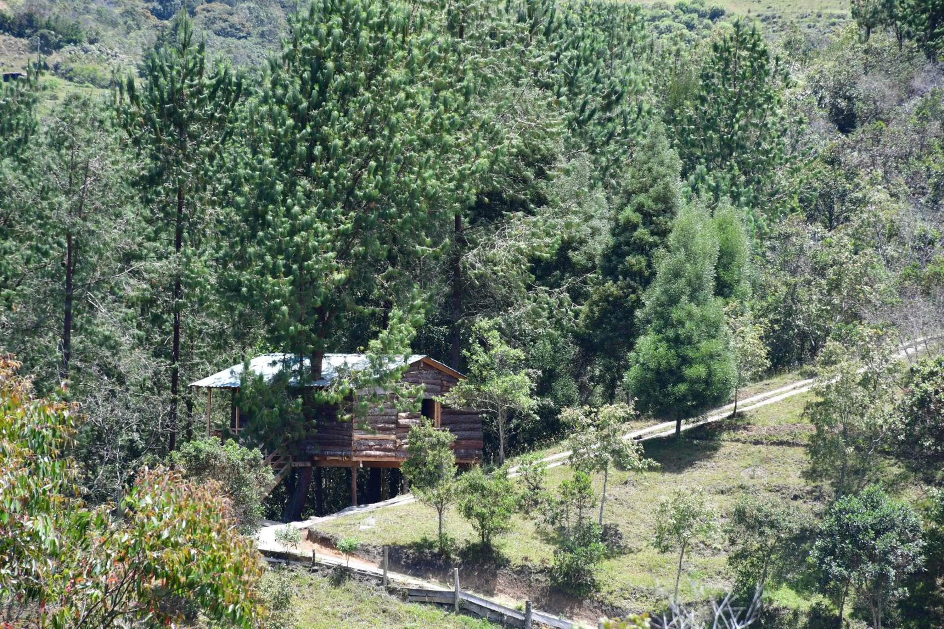 Area and facilities in Glamping Ancestros Ecoparque