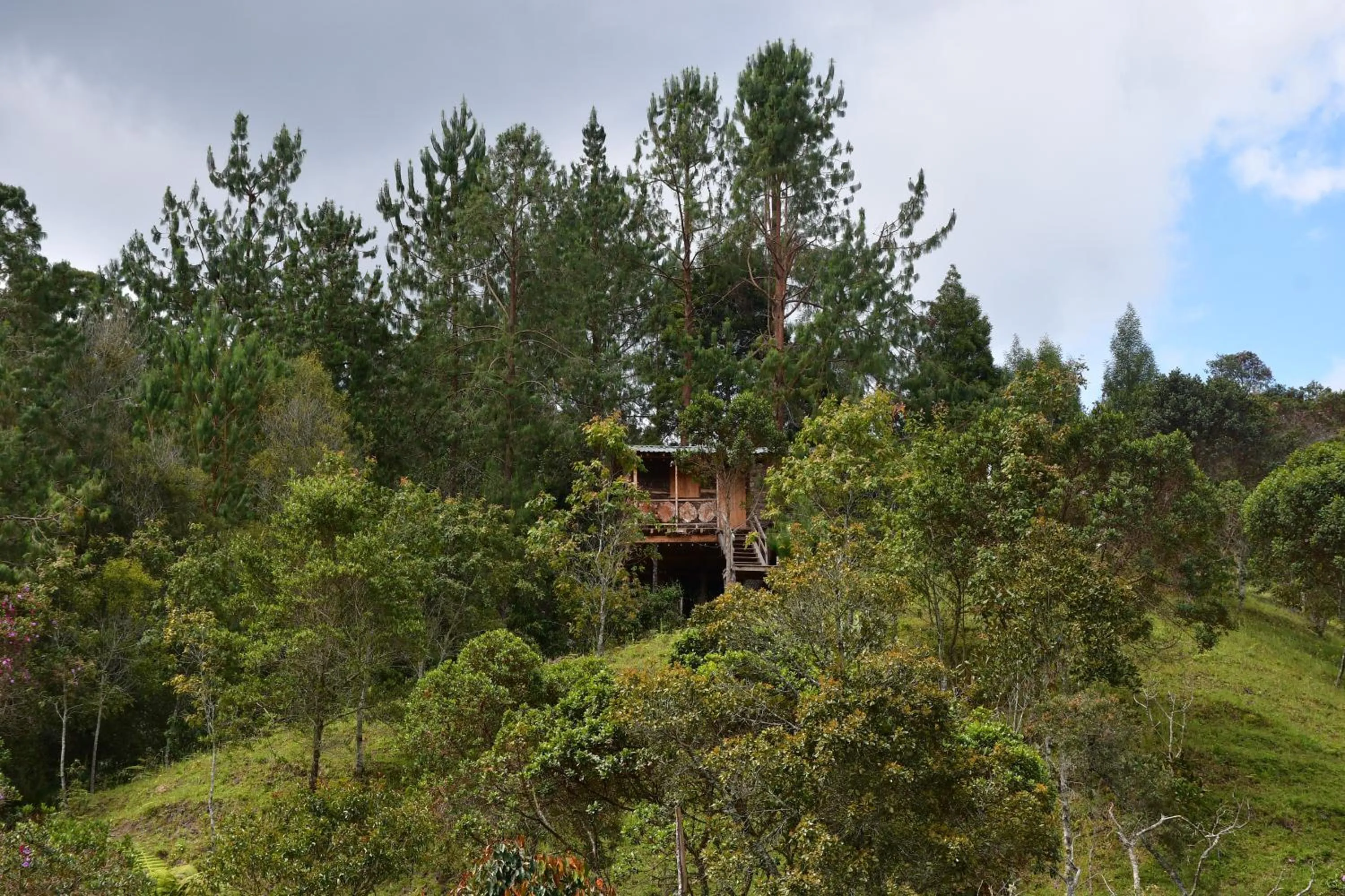 Garden in Glamping Ancestros Ecoparque
