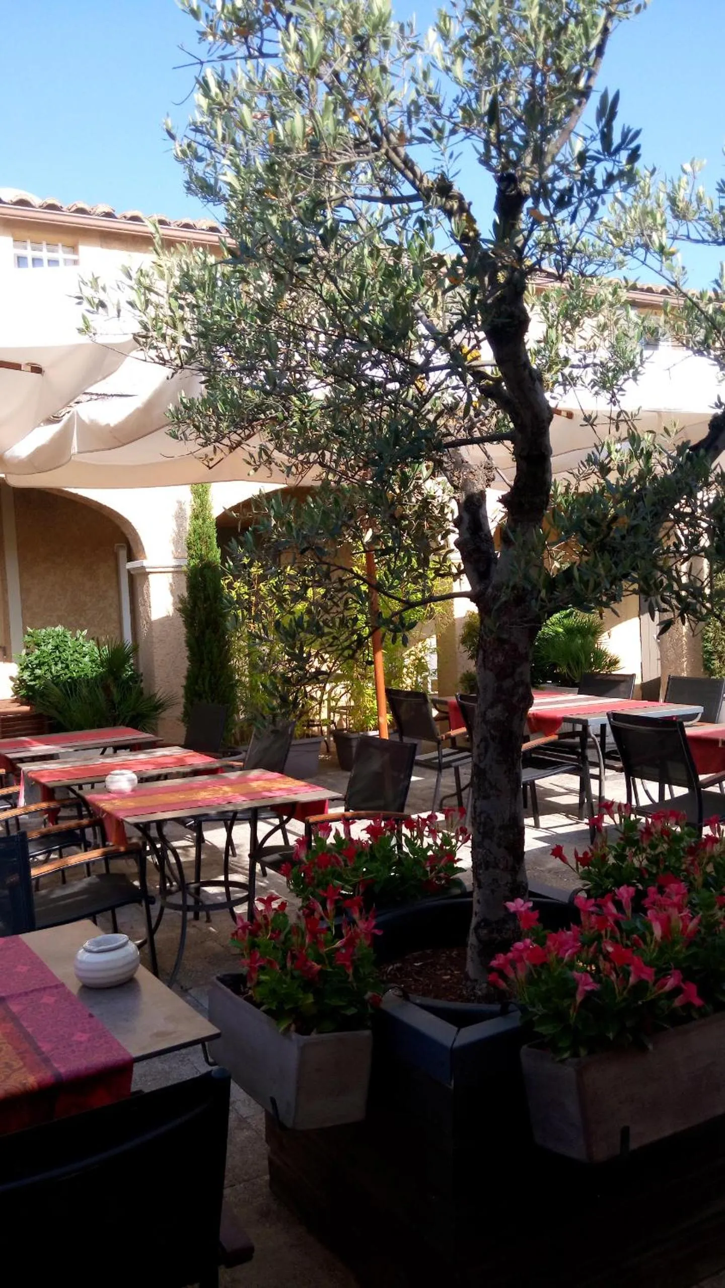 Patio in Logis Hôtel Fabian des Baux