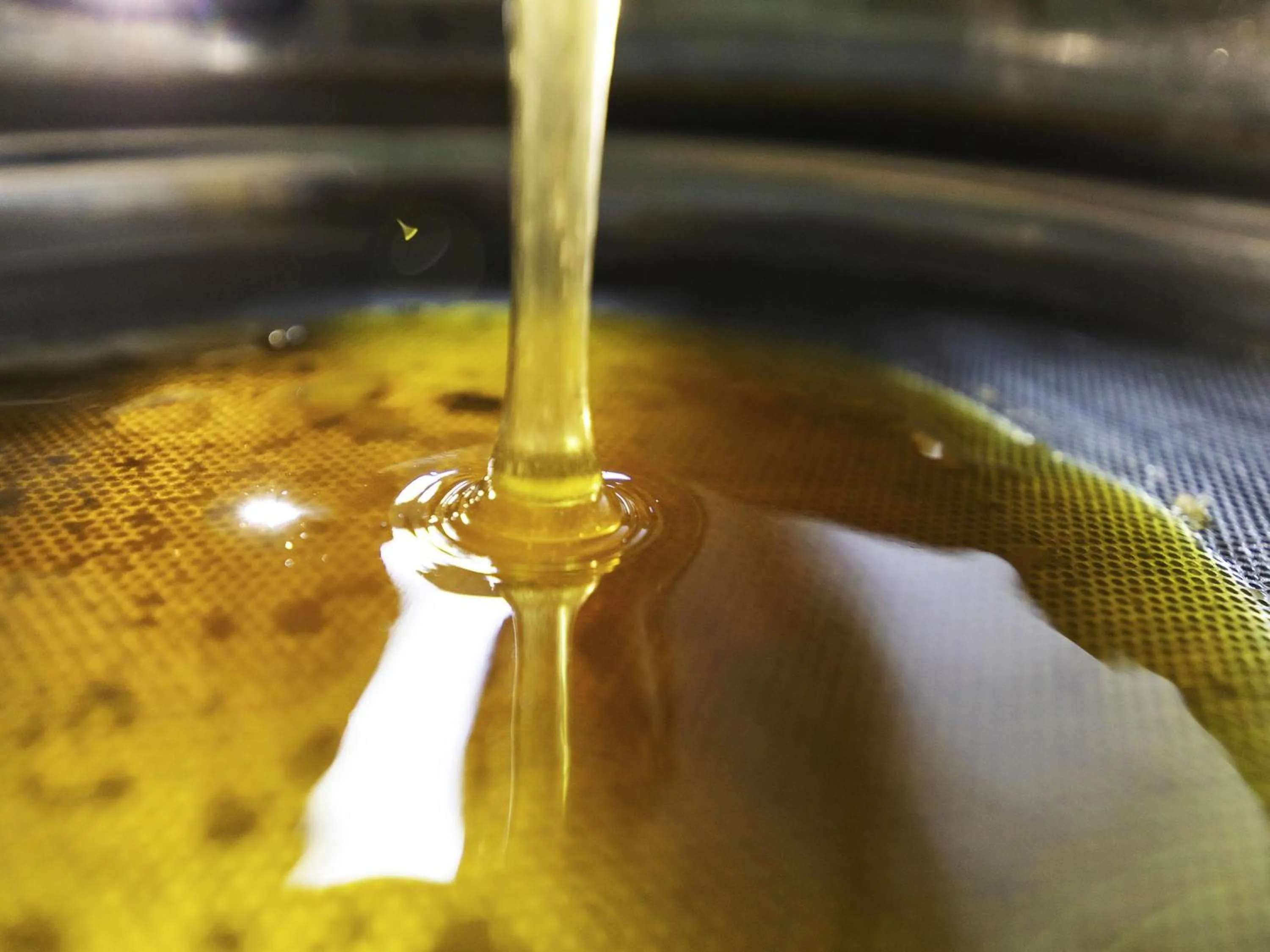 Other in greet Hotel Marseille Provence Aéroport