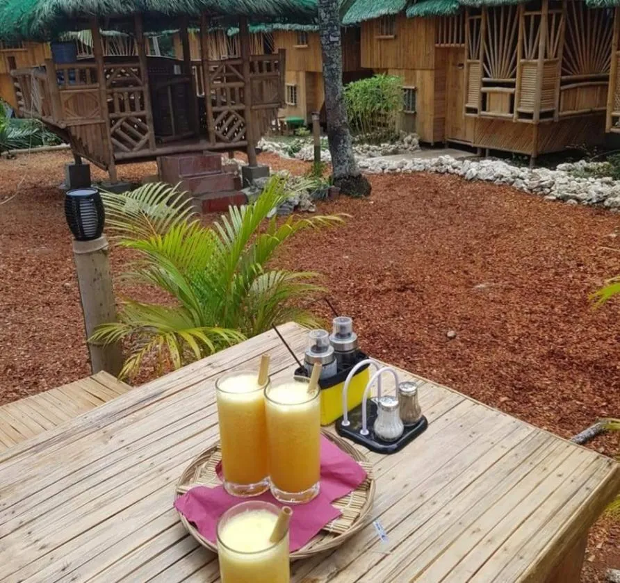 Nirvana Bamboo & Dive resort