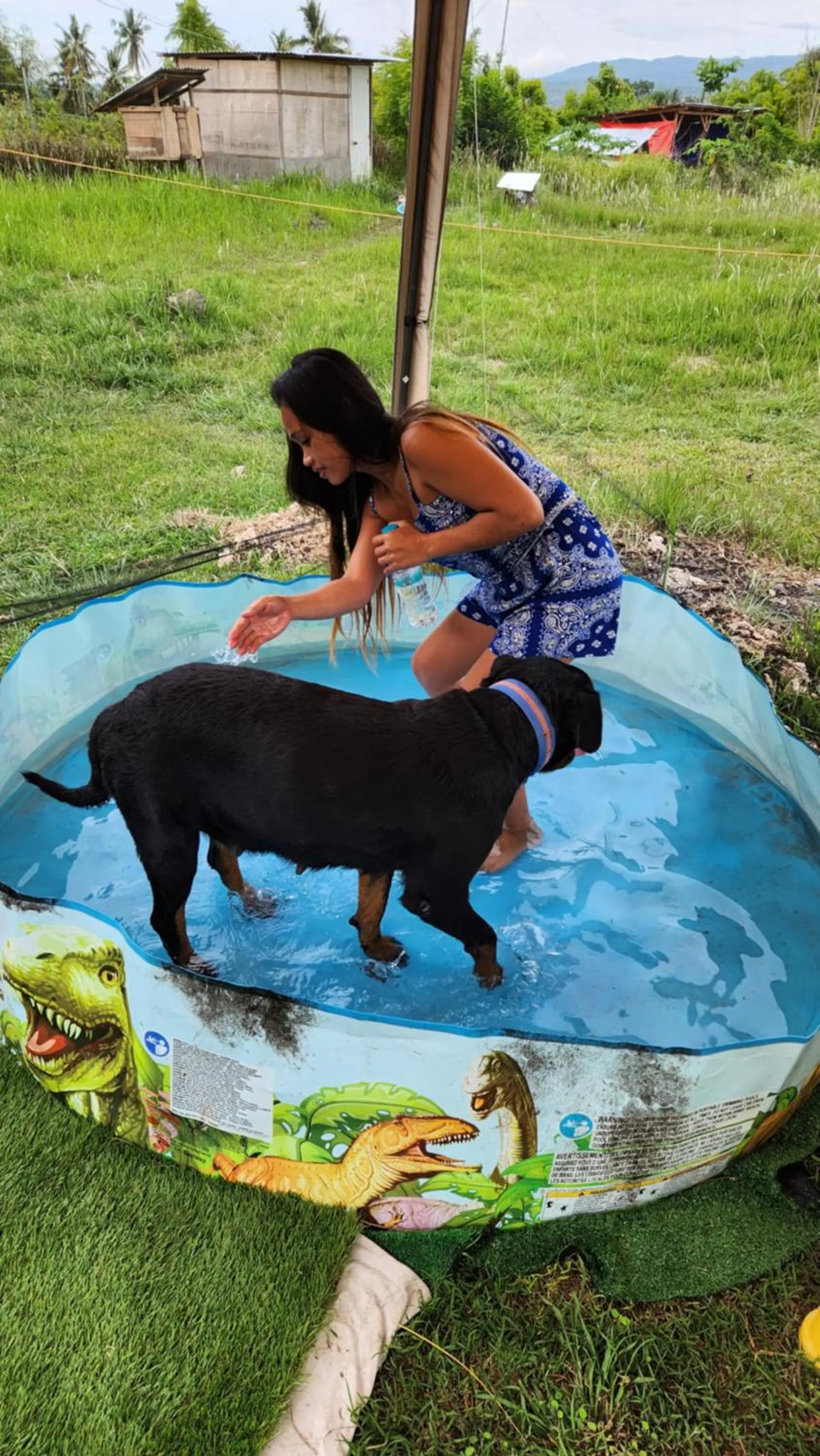 Nirvana Bamboo & Dive resort