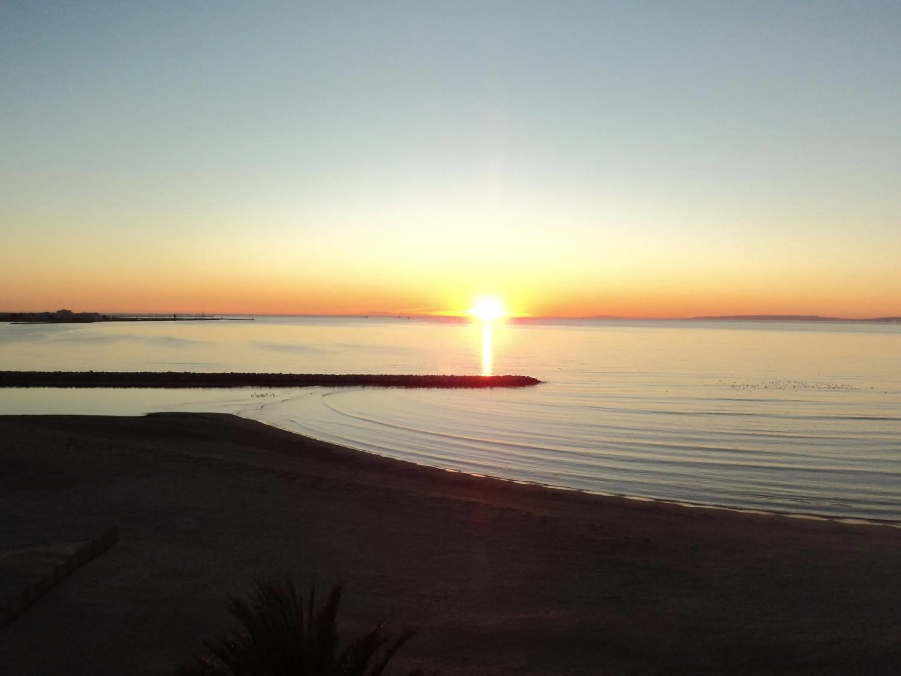 Sea view in Hôtel Restaurant Splendid Camargue