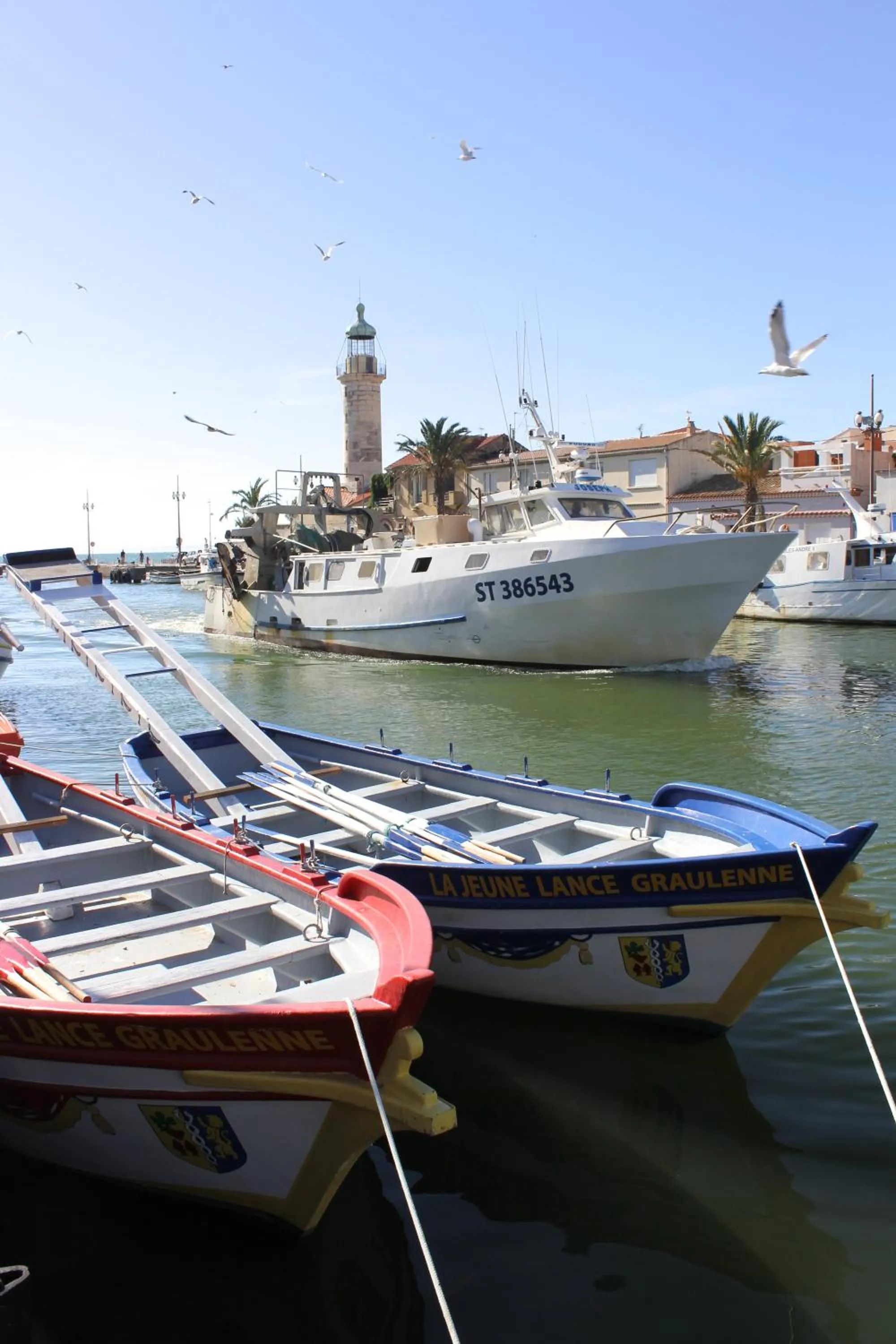 Area and facilities in Hôtel Restaurant Splendid Camargue