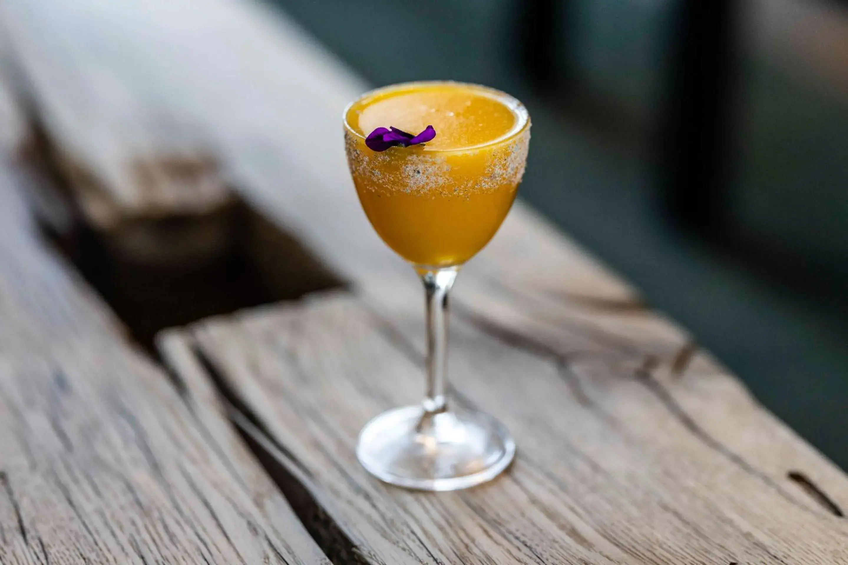 Lounge or bar in Peak 12 Hotel Lounge or bar in Peak 12 Hotel