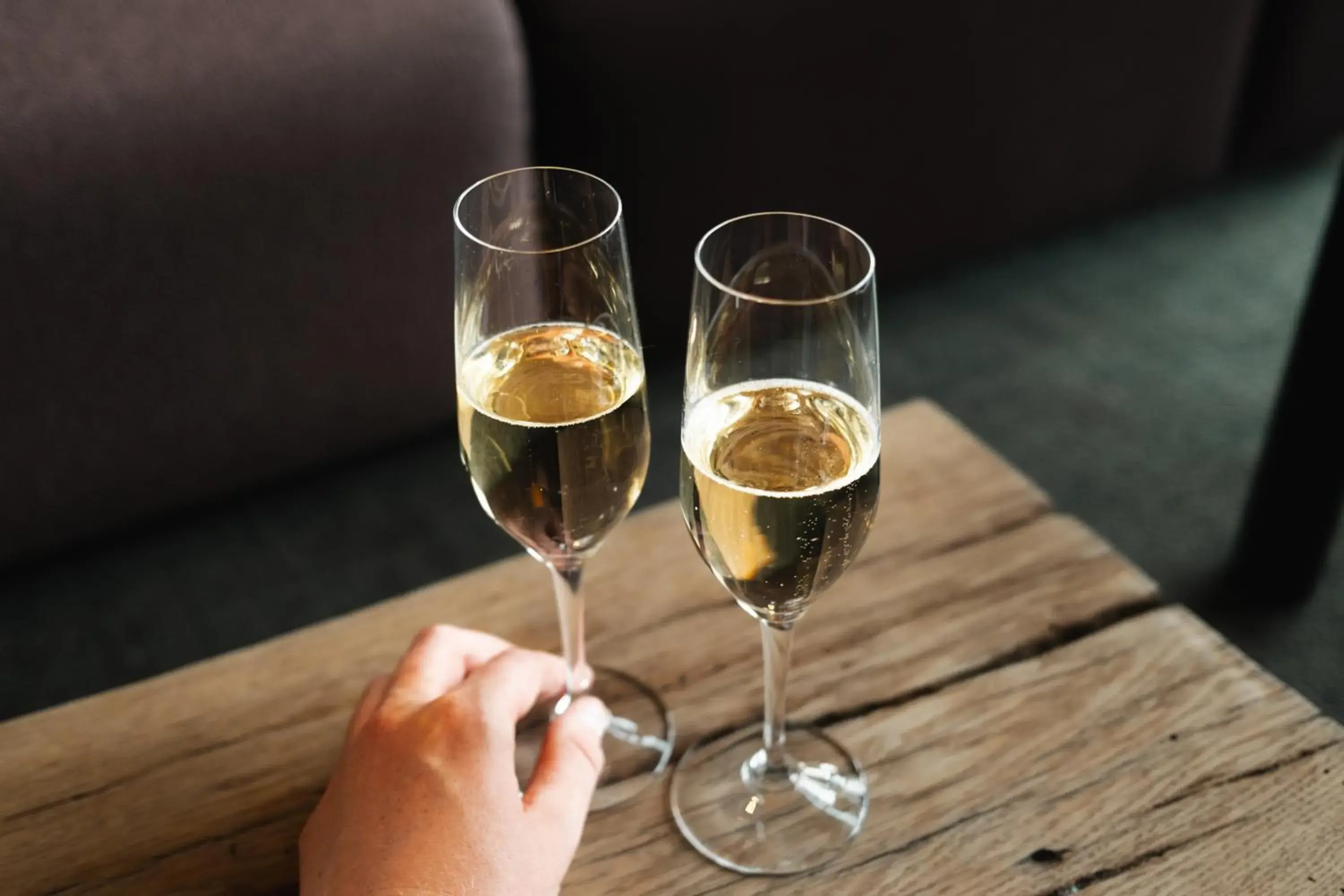 Lounge or bar in Peak 12 Hotel Lounge or bar in Peak 12 Hotel