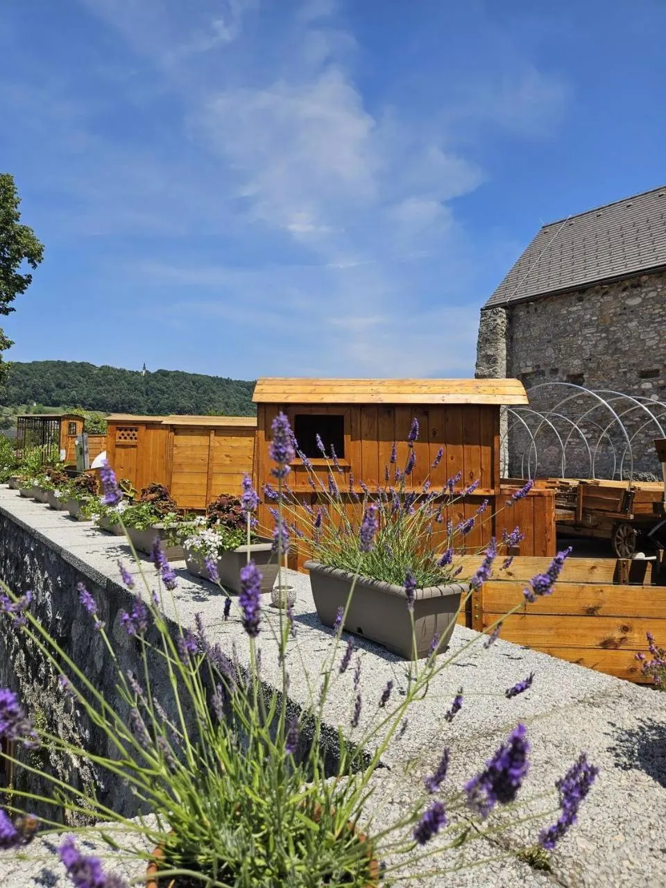 Garden in Vinica Castle Boutique & Spa Hotel