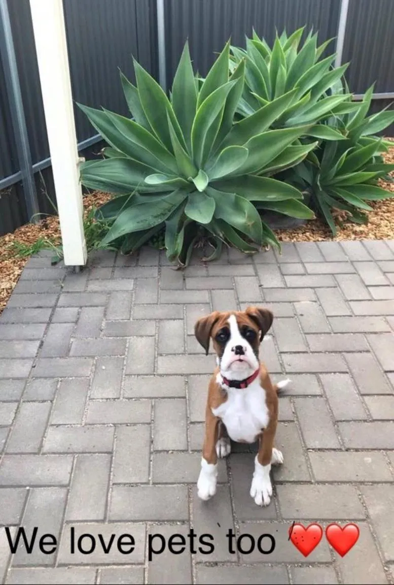 Property building in Gawler Townhouse U1 1 Bedroom