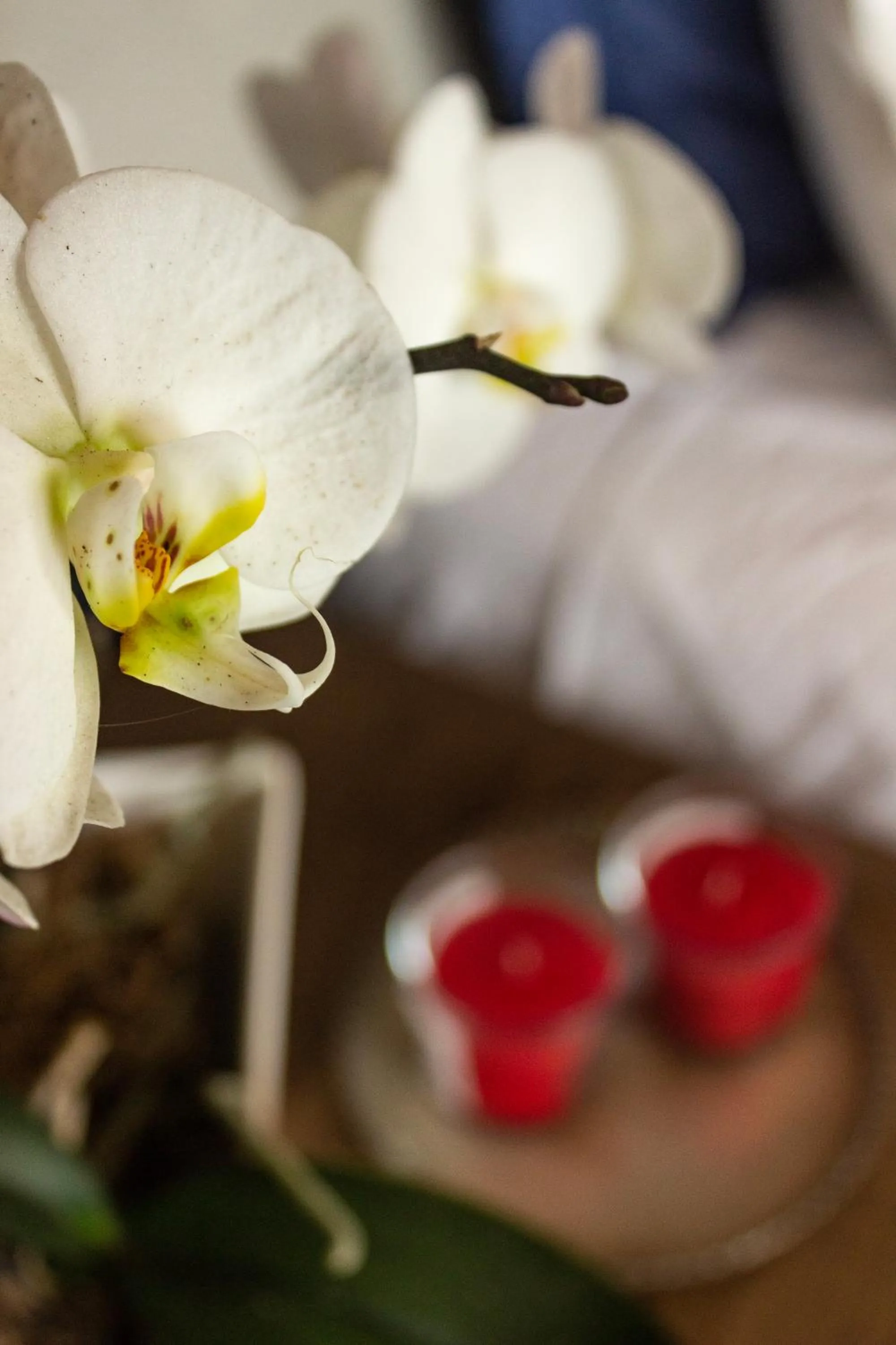 Pousada Ponta da Vigia