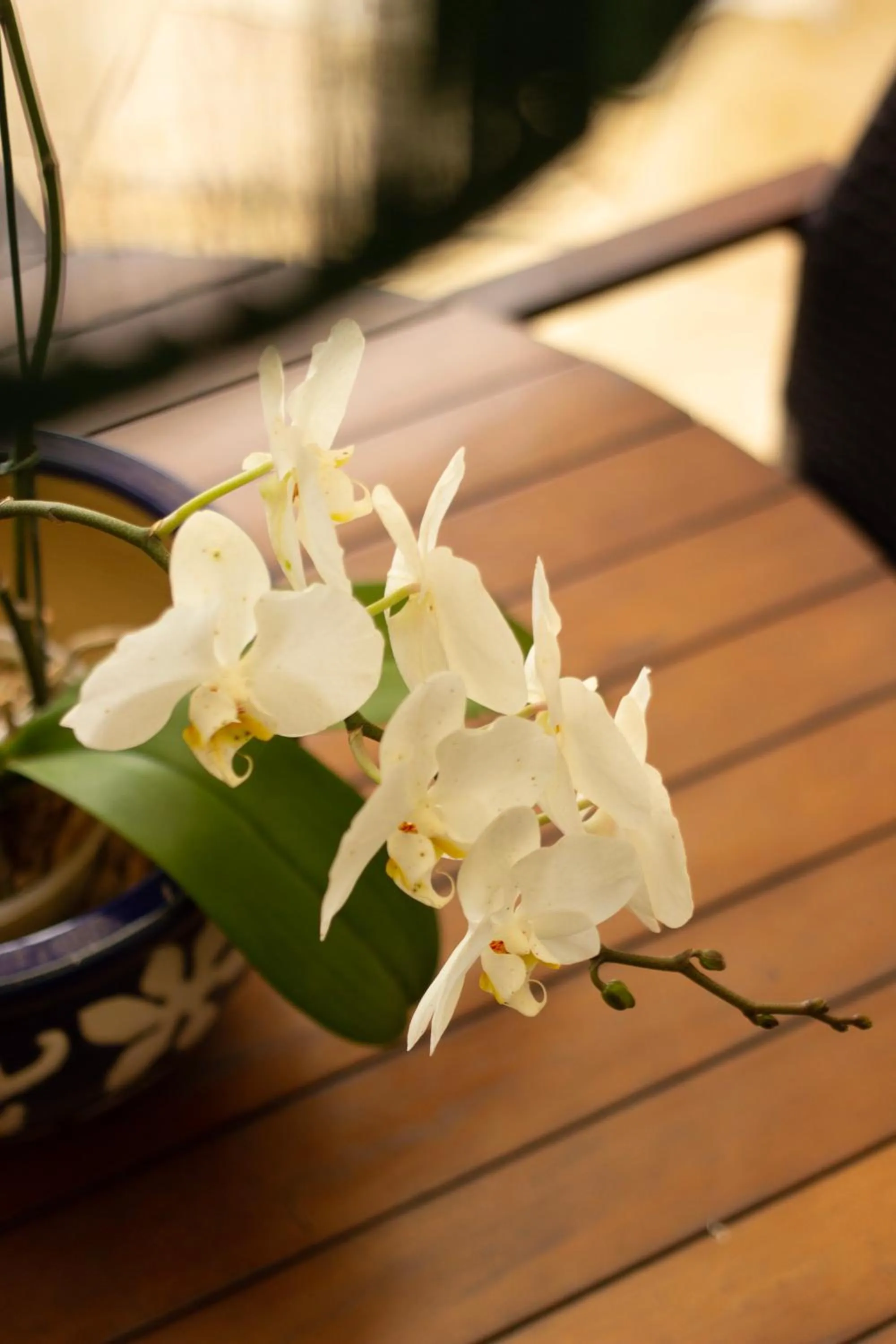 Property building in Pousada Ponta da Vigia