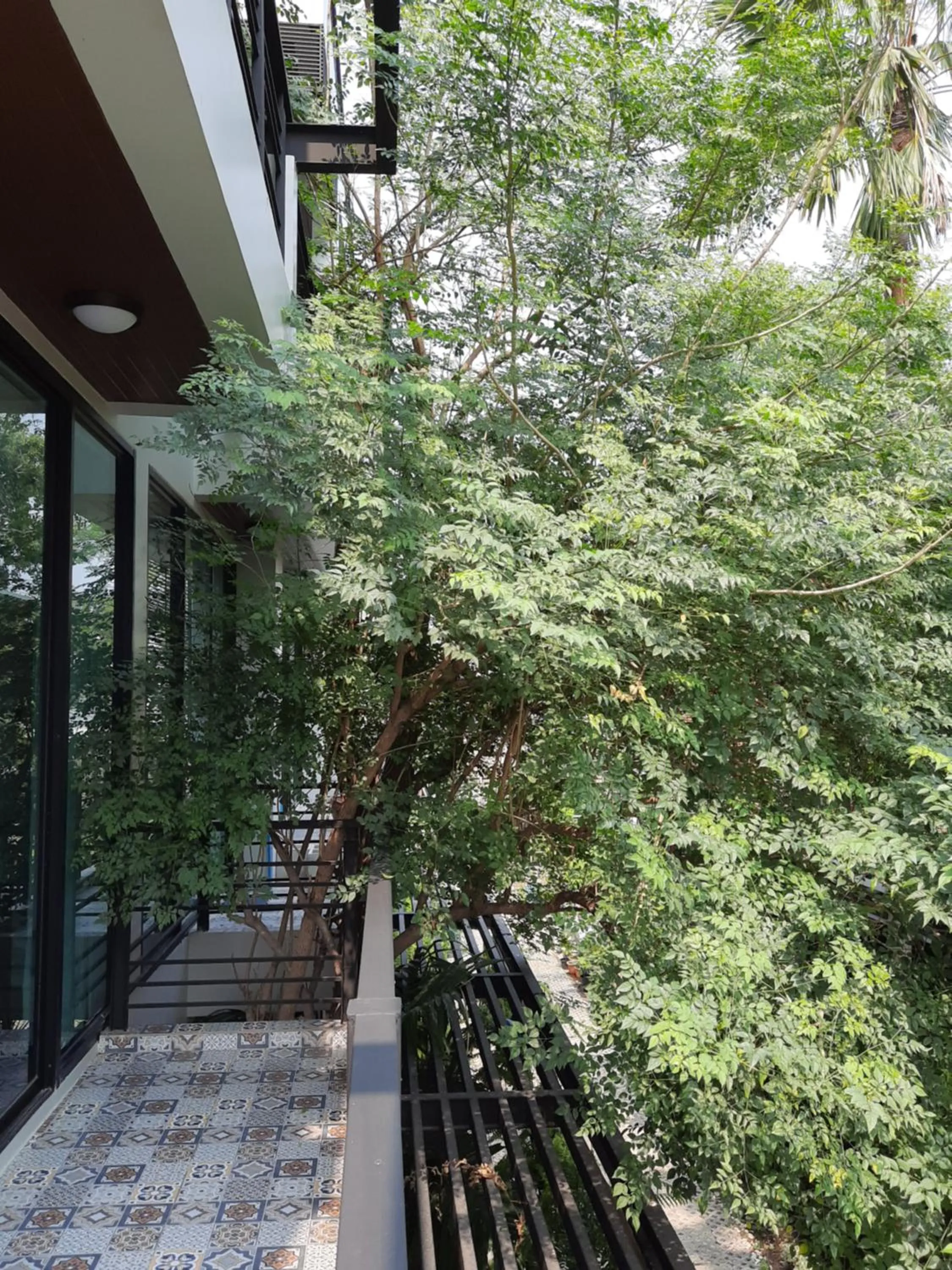 Garden in PomPom Home