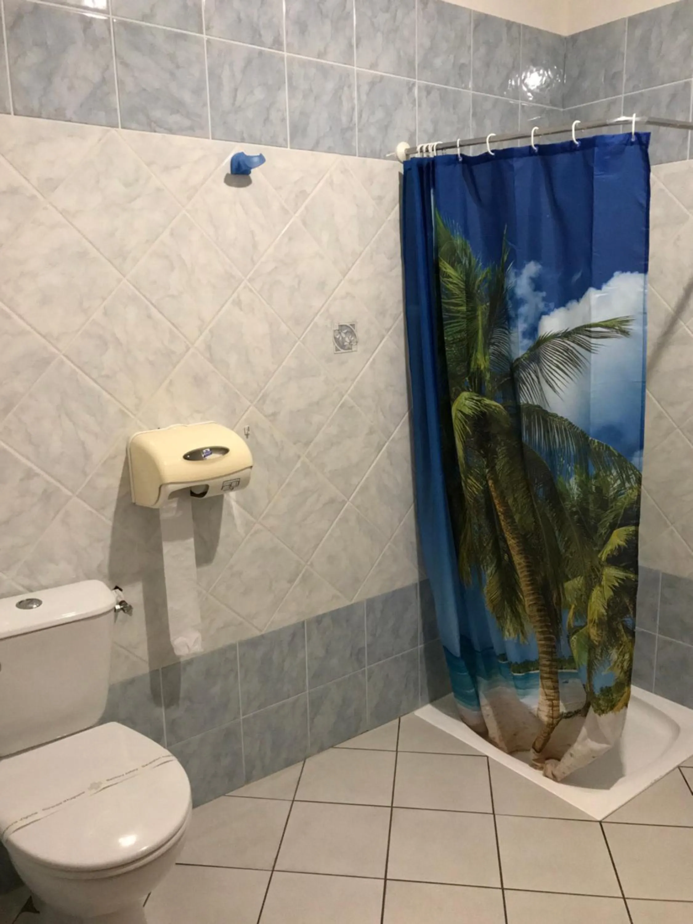 Toilet in Hôtel Vesuvio