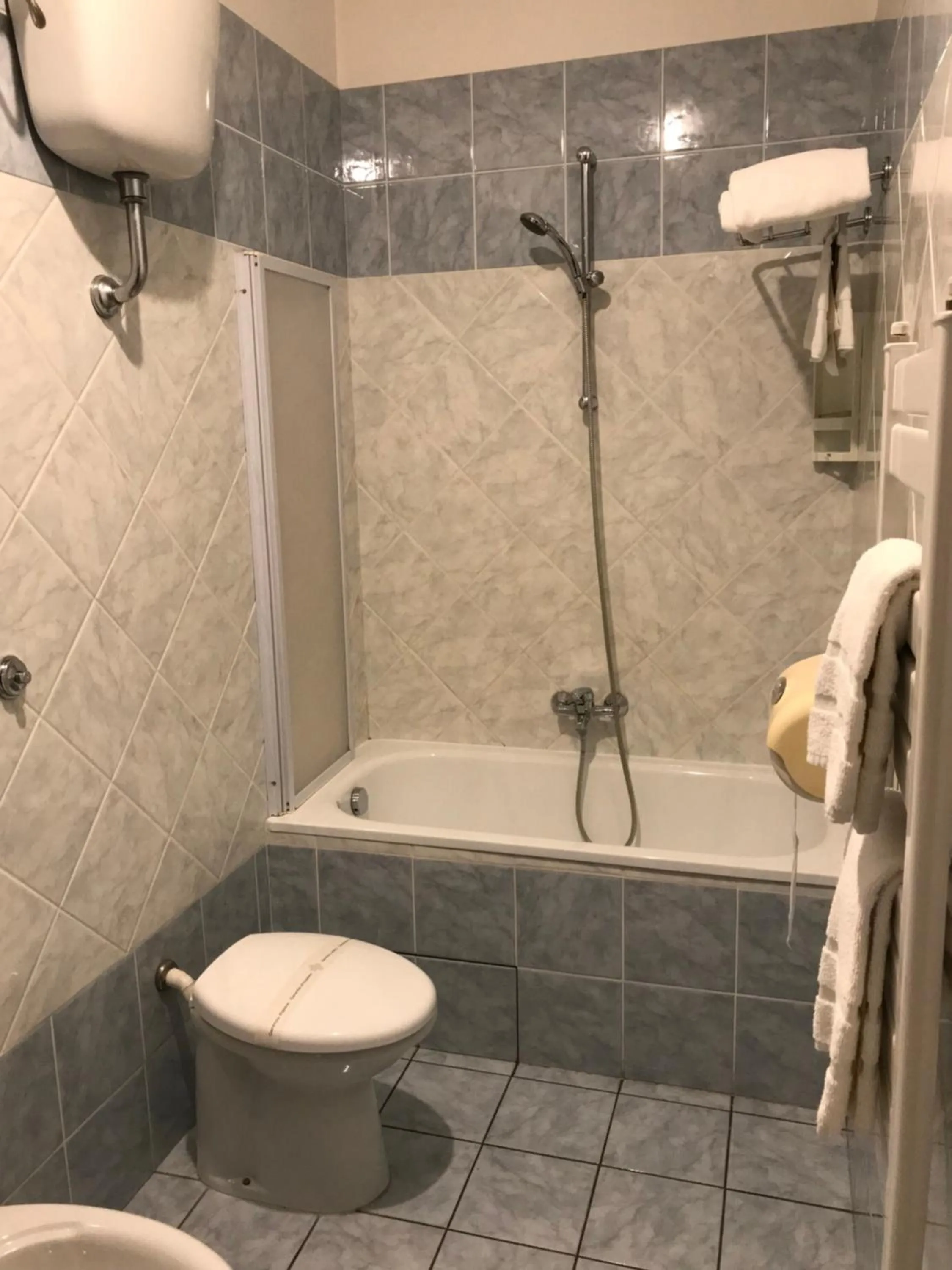 Toilet in Hôtel Vesuvio