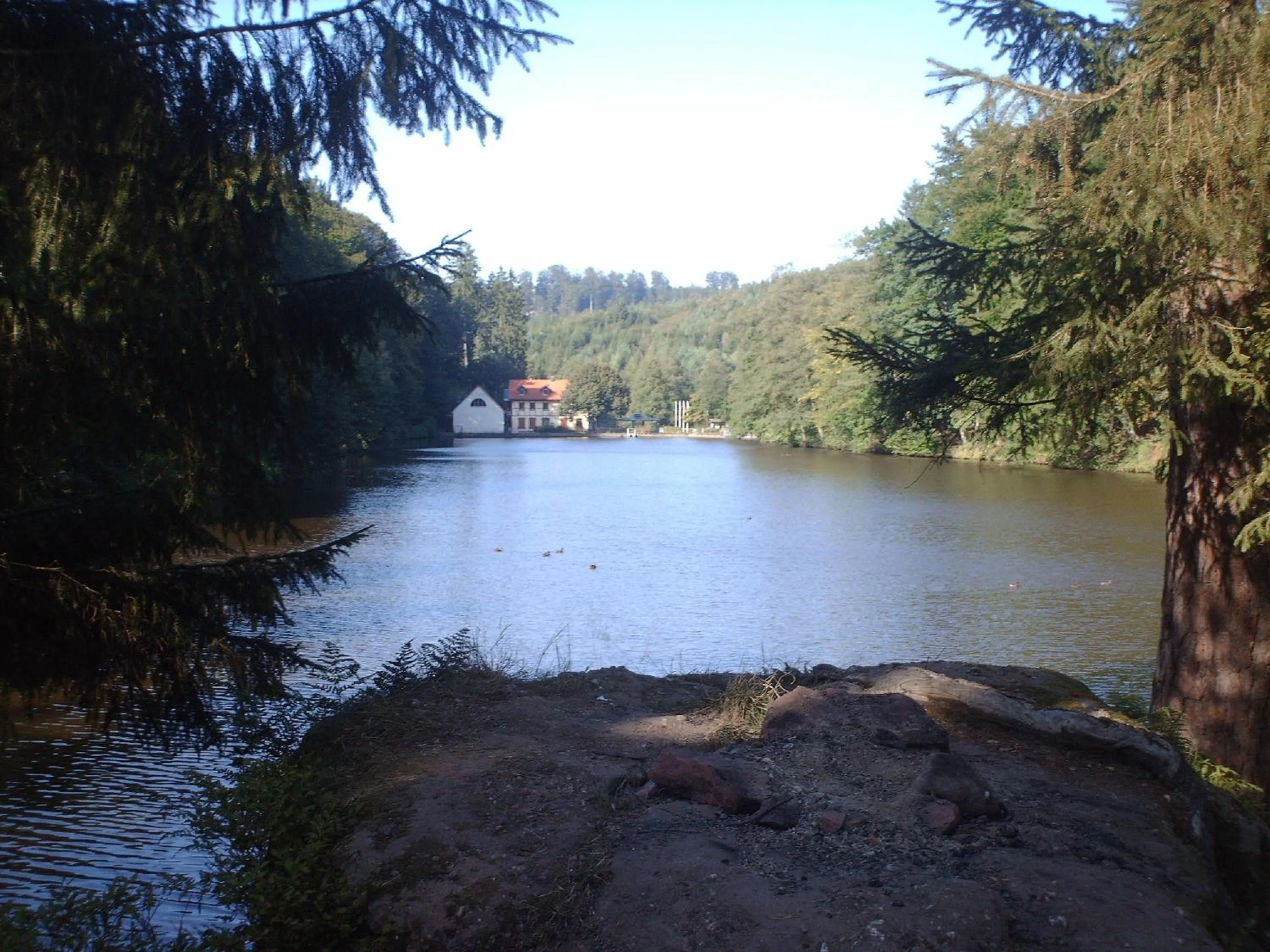 Off site in Logis Hôtel Restaurant Ritter'Hoft