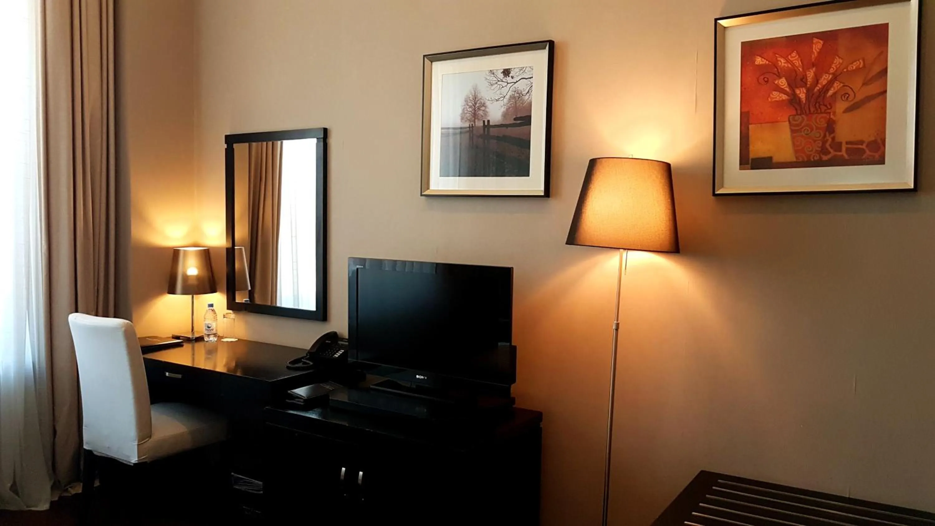 TV and multimedia in JELSOMINOHotel