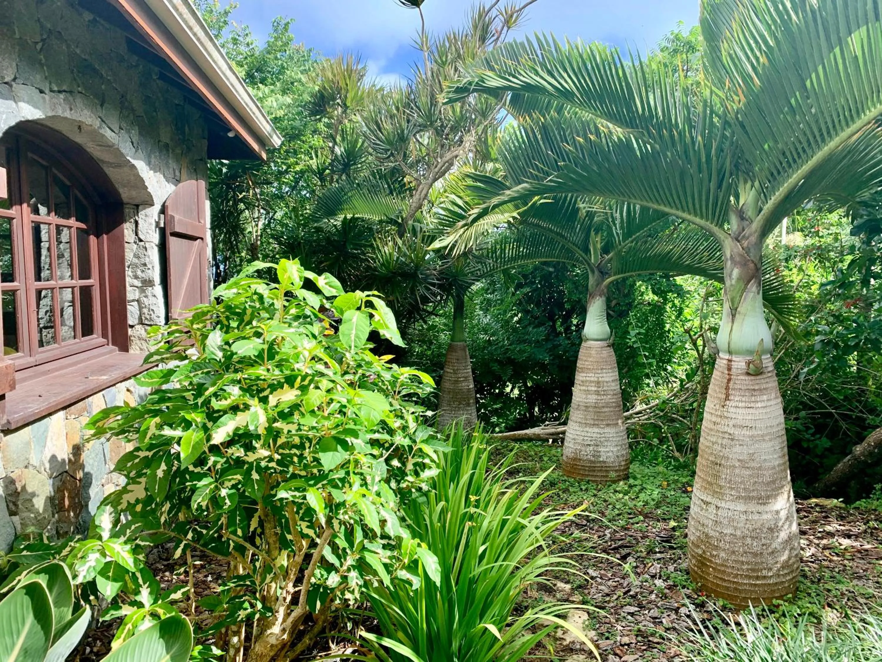 Property building in The Paradise Peak Adults only