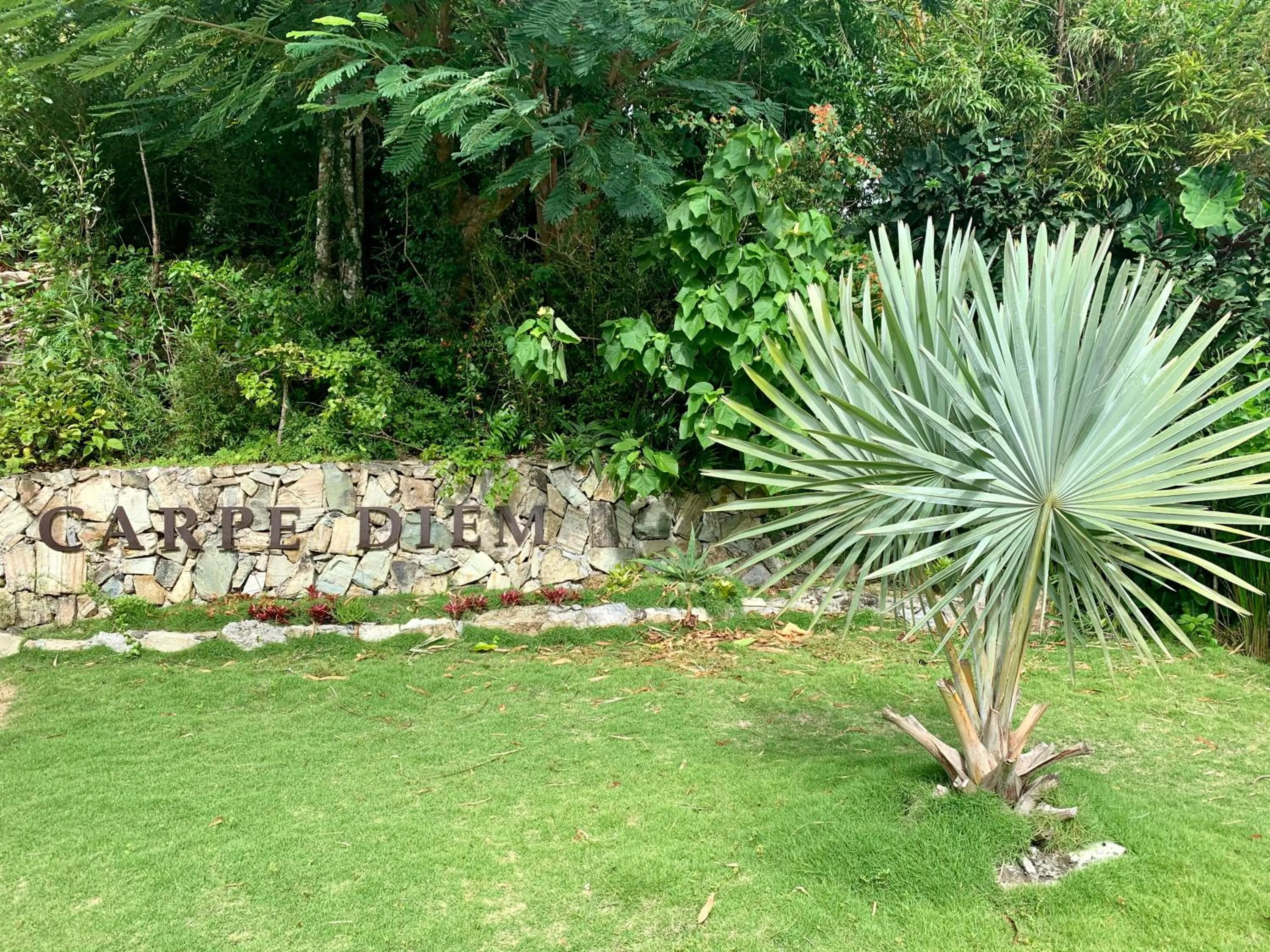 Property building in The Paradise Peak Adults only