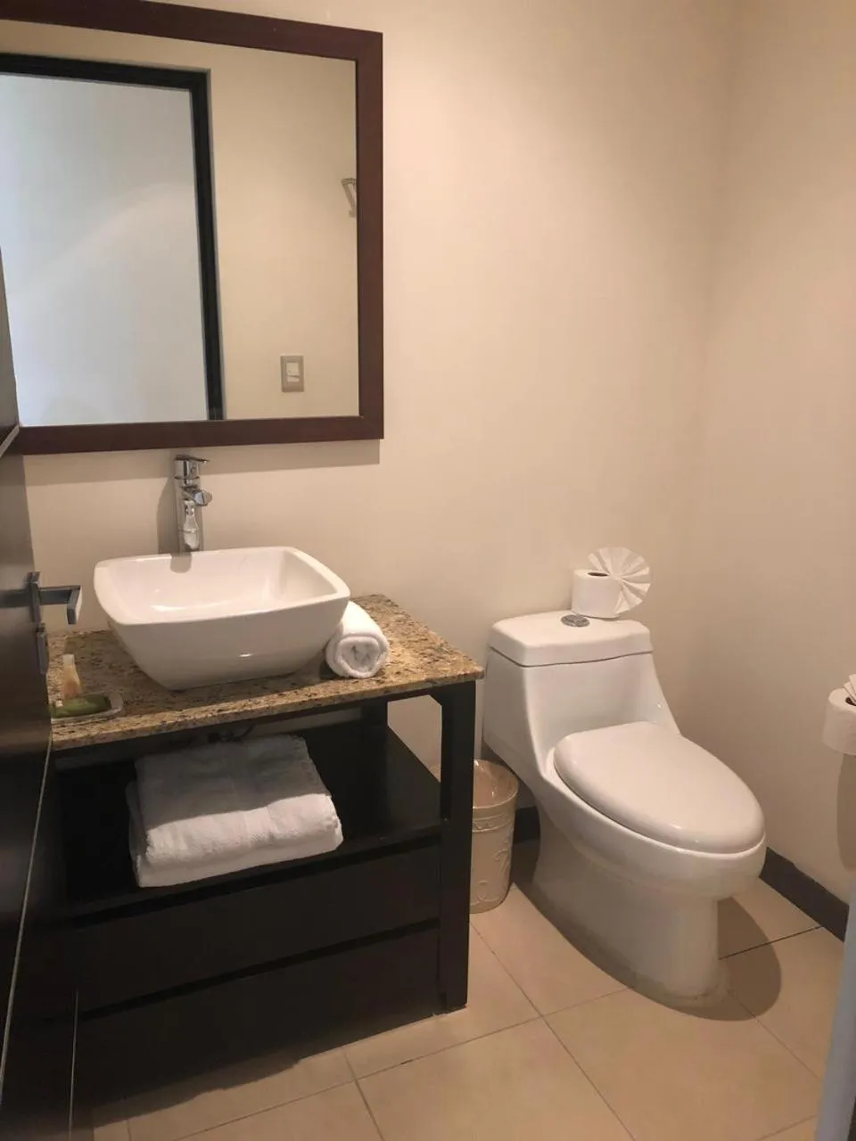 Toilet in San Pedro Hotel, 5ta Avenida