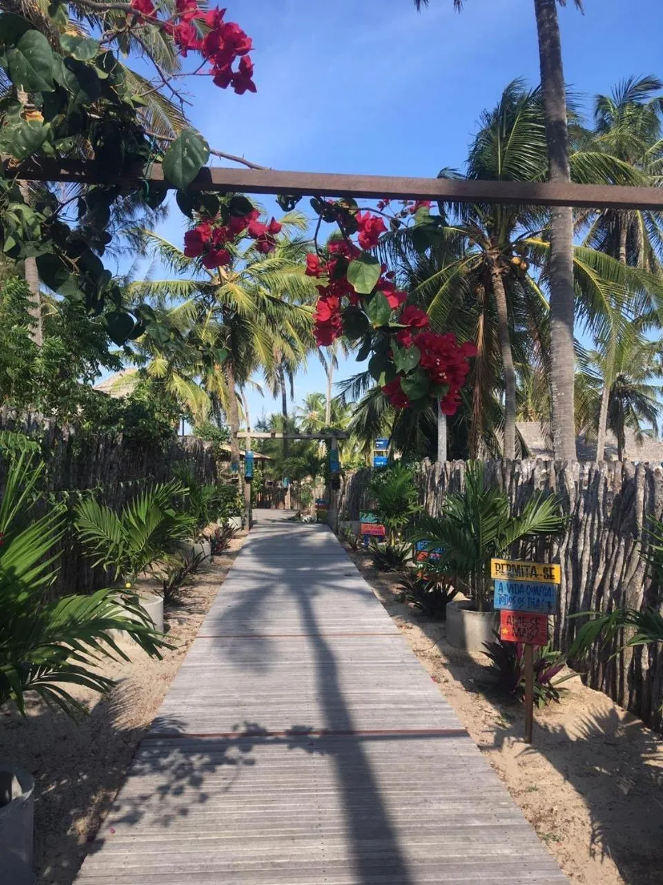 Garden in Pousada Portal do Kite