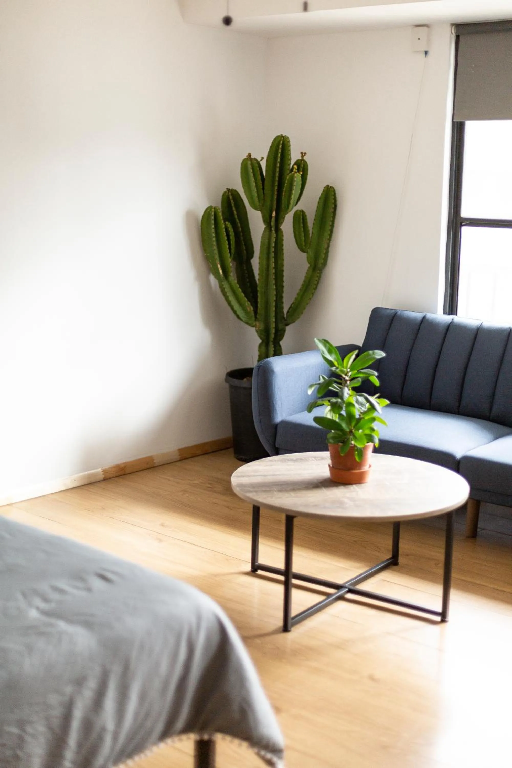 Living room in Coyote Lofts-Estacion Federal