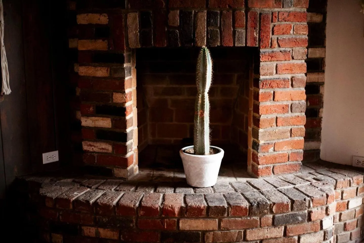 Coyote Lofts-Estacion Federal