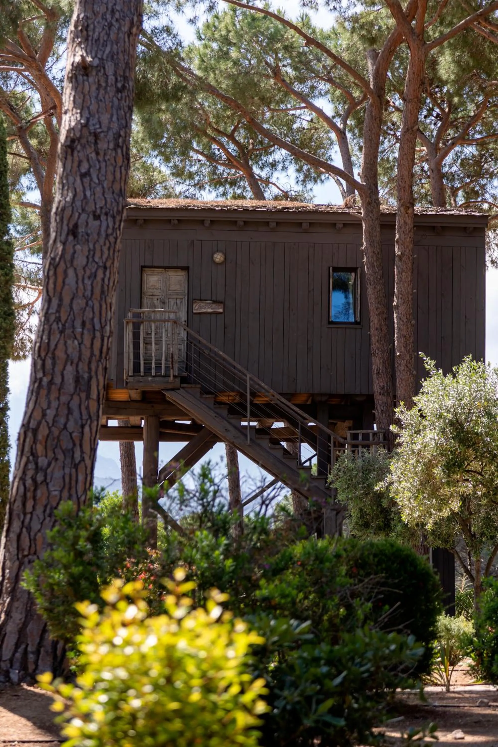 Garden in La Signoria & Spa