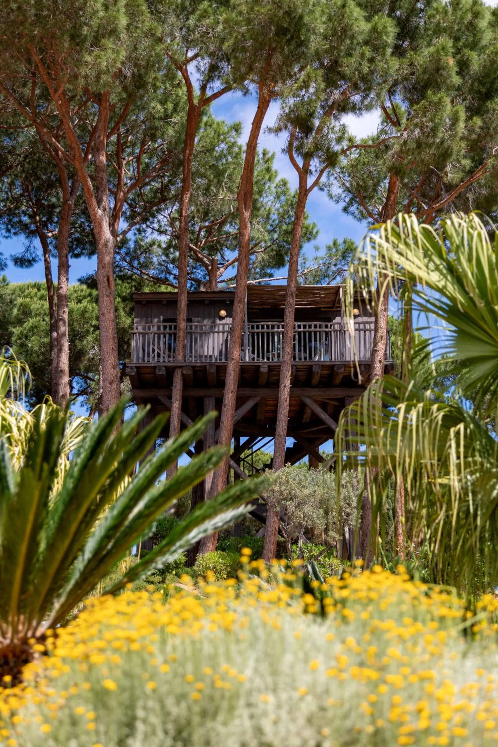 Day in La Signoria & Spa