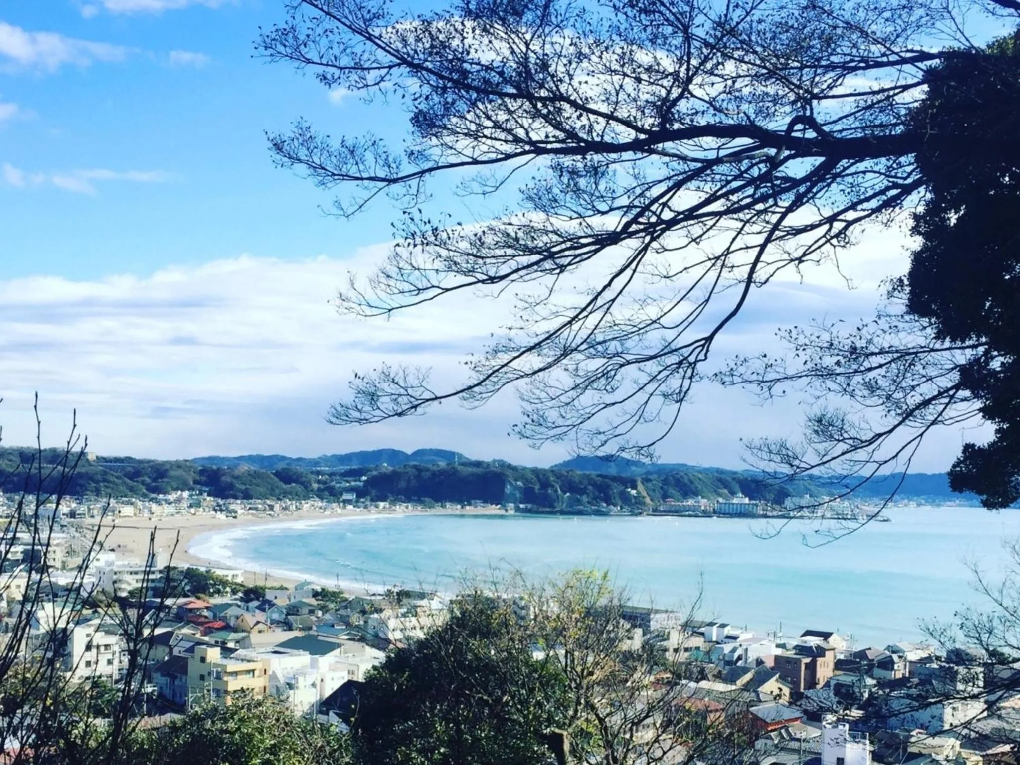 Nearby landmark in Kamakura COCON