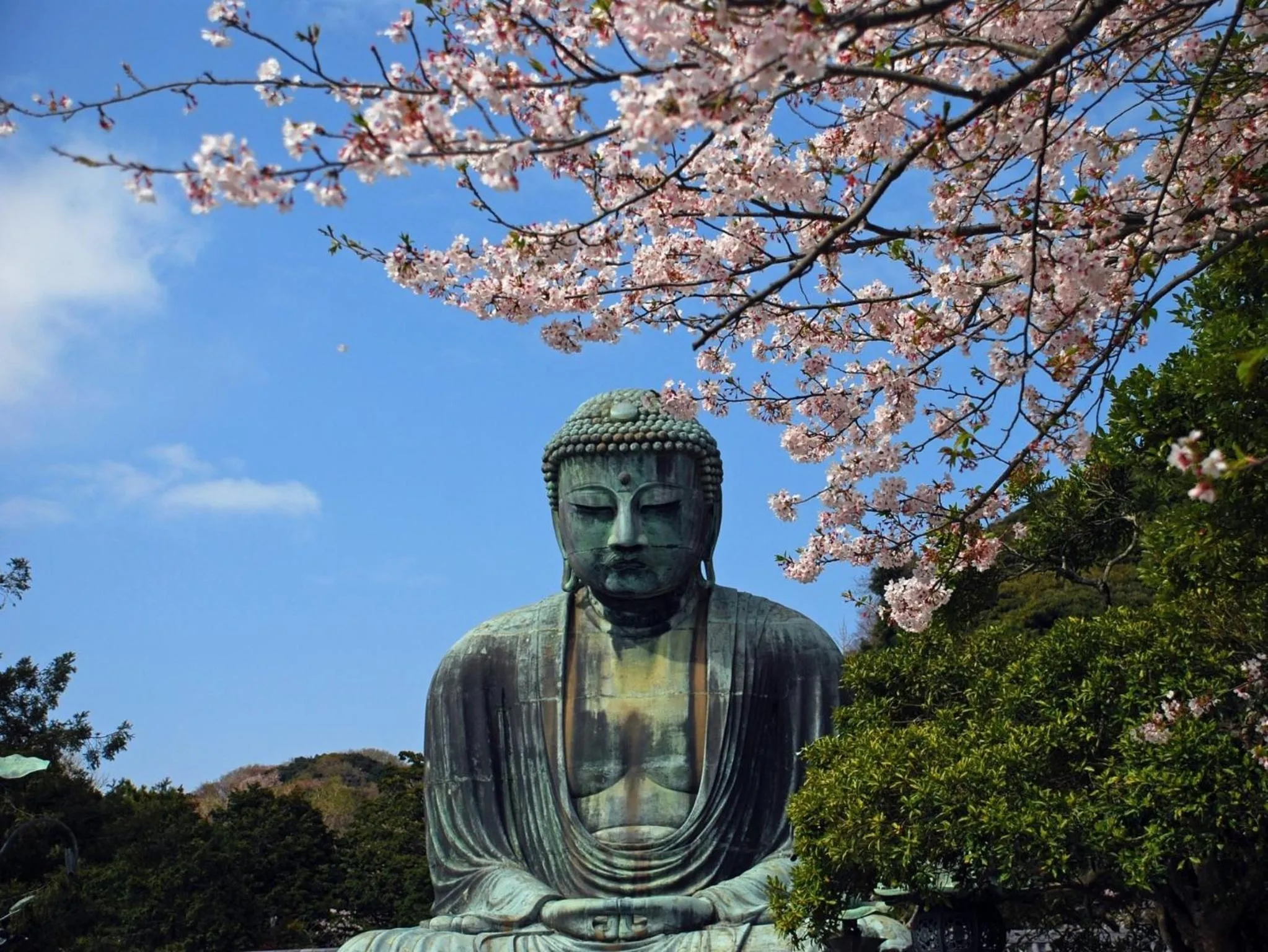 Nearby landmark in Kamakura COCON