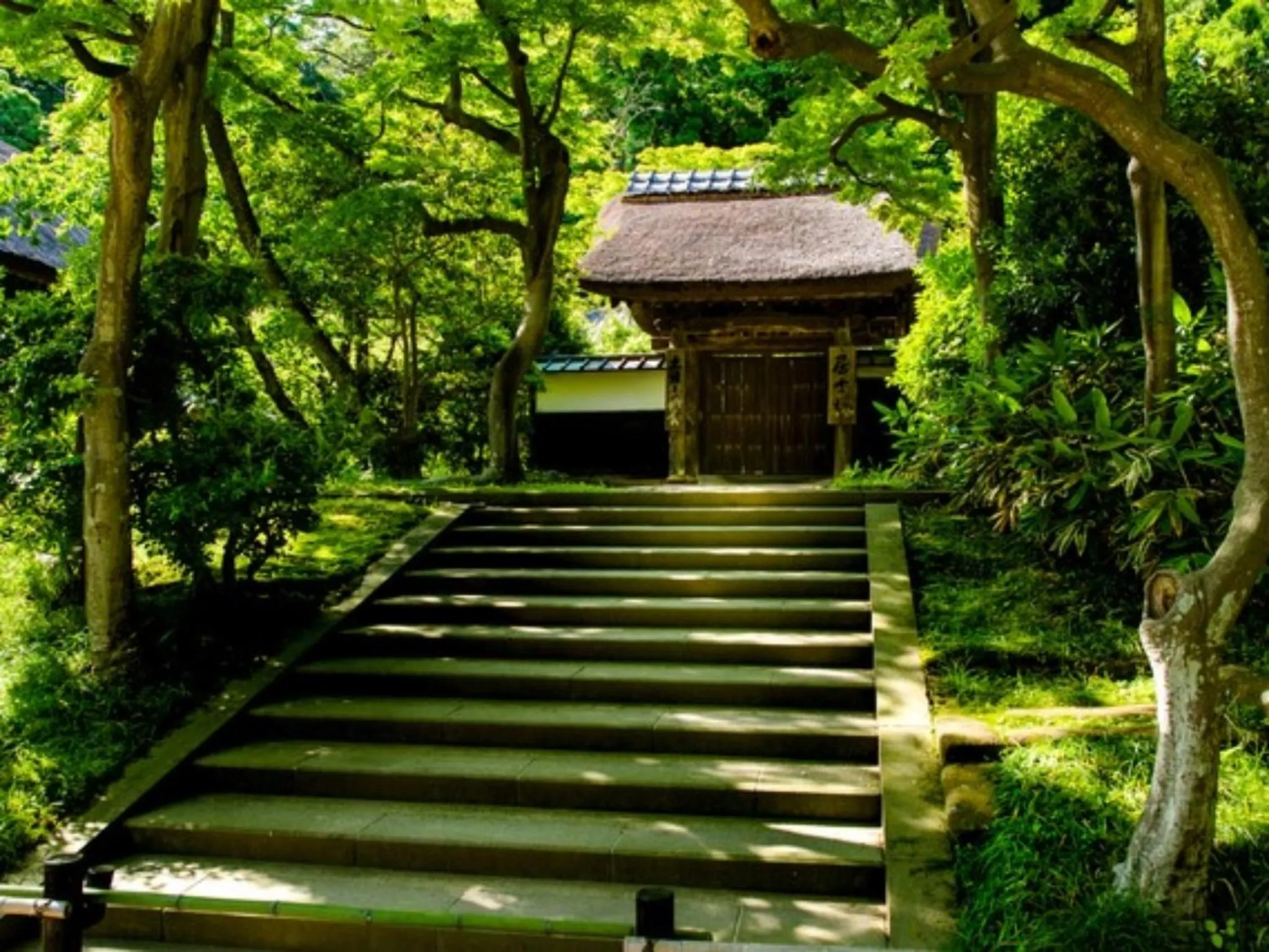 Nearby landmark in Kamakura COCON