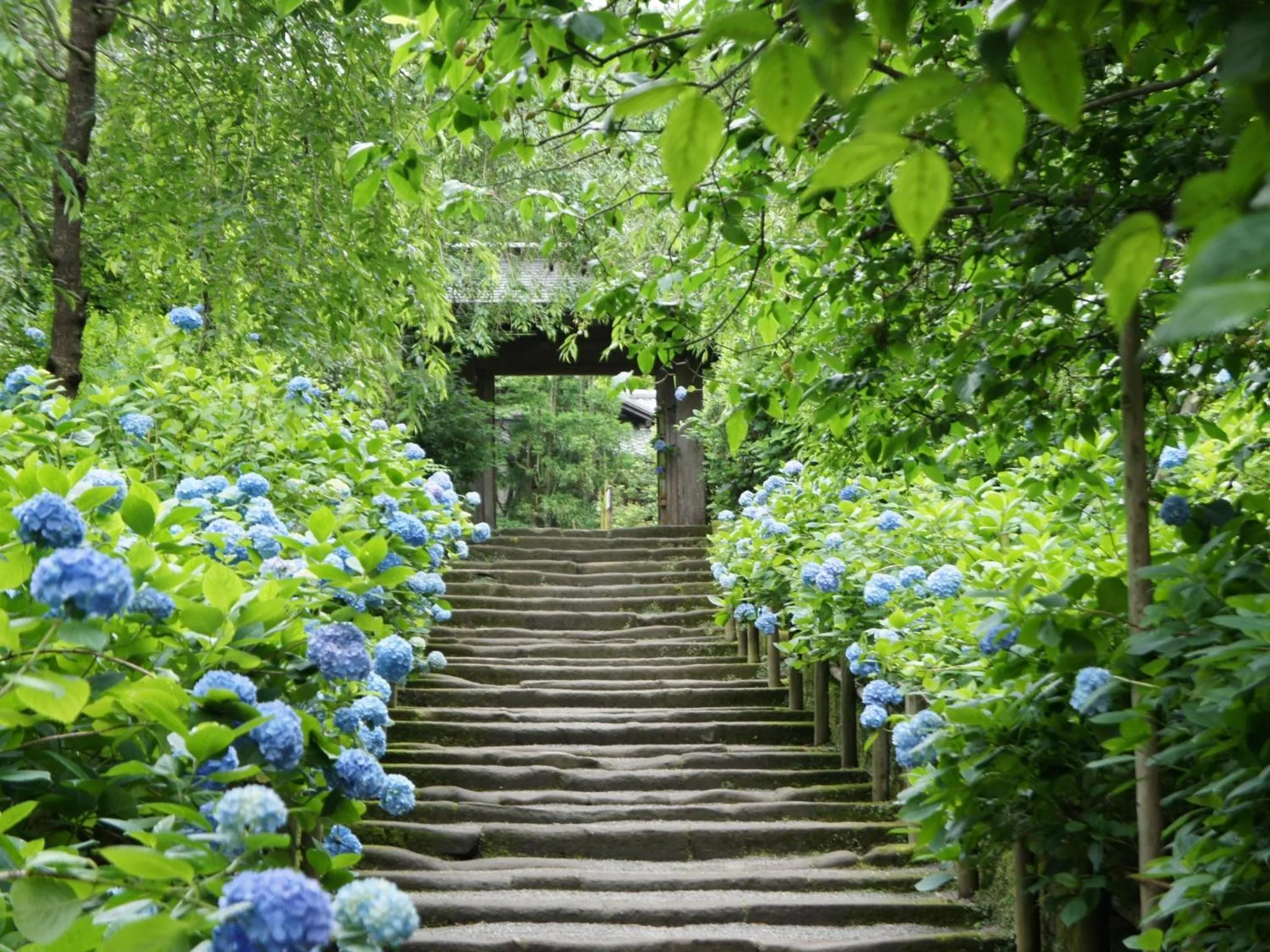 Nearby landmark in Kamakura COCON