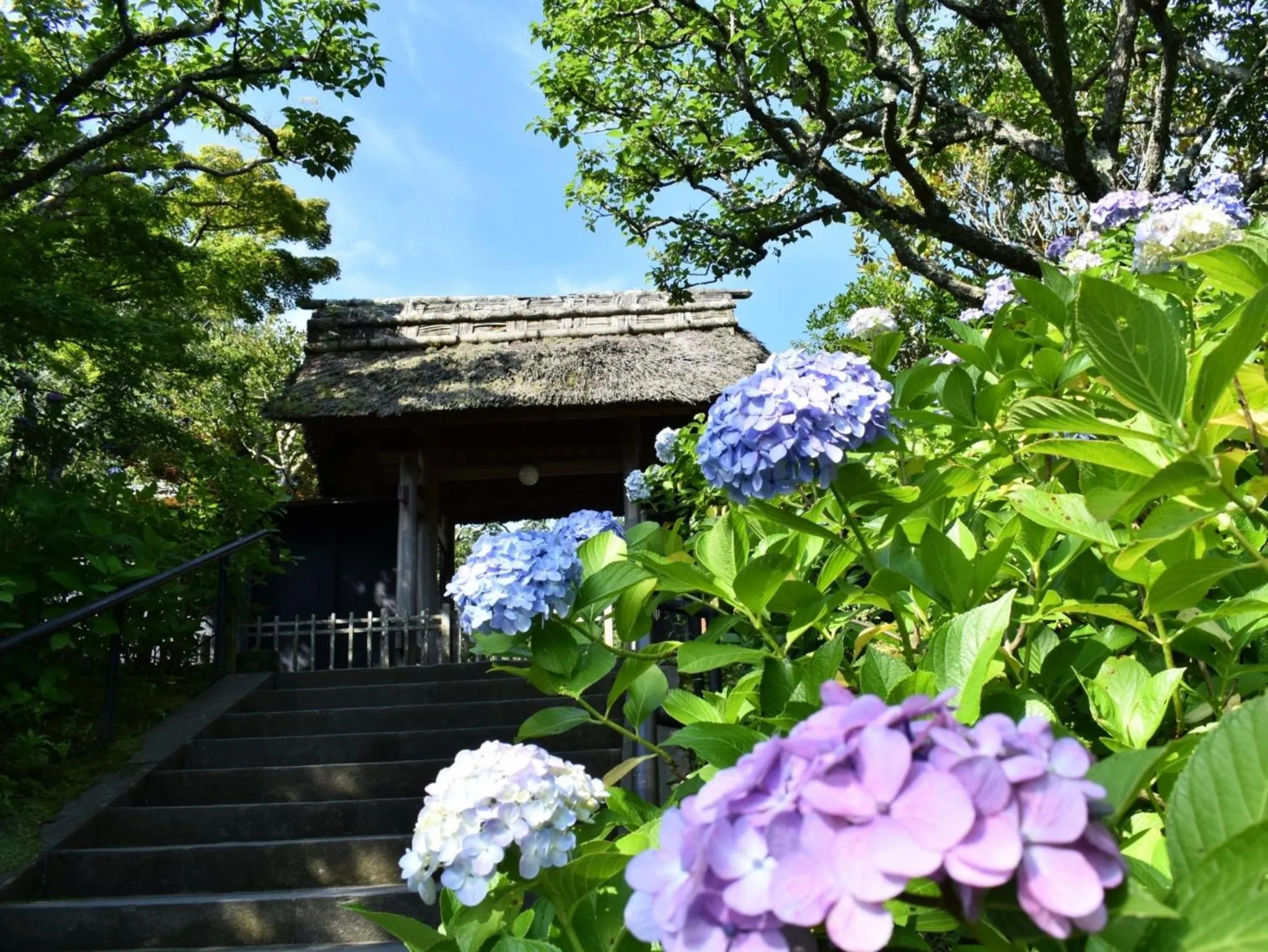 Nearby landmark in Kamakura COCON