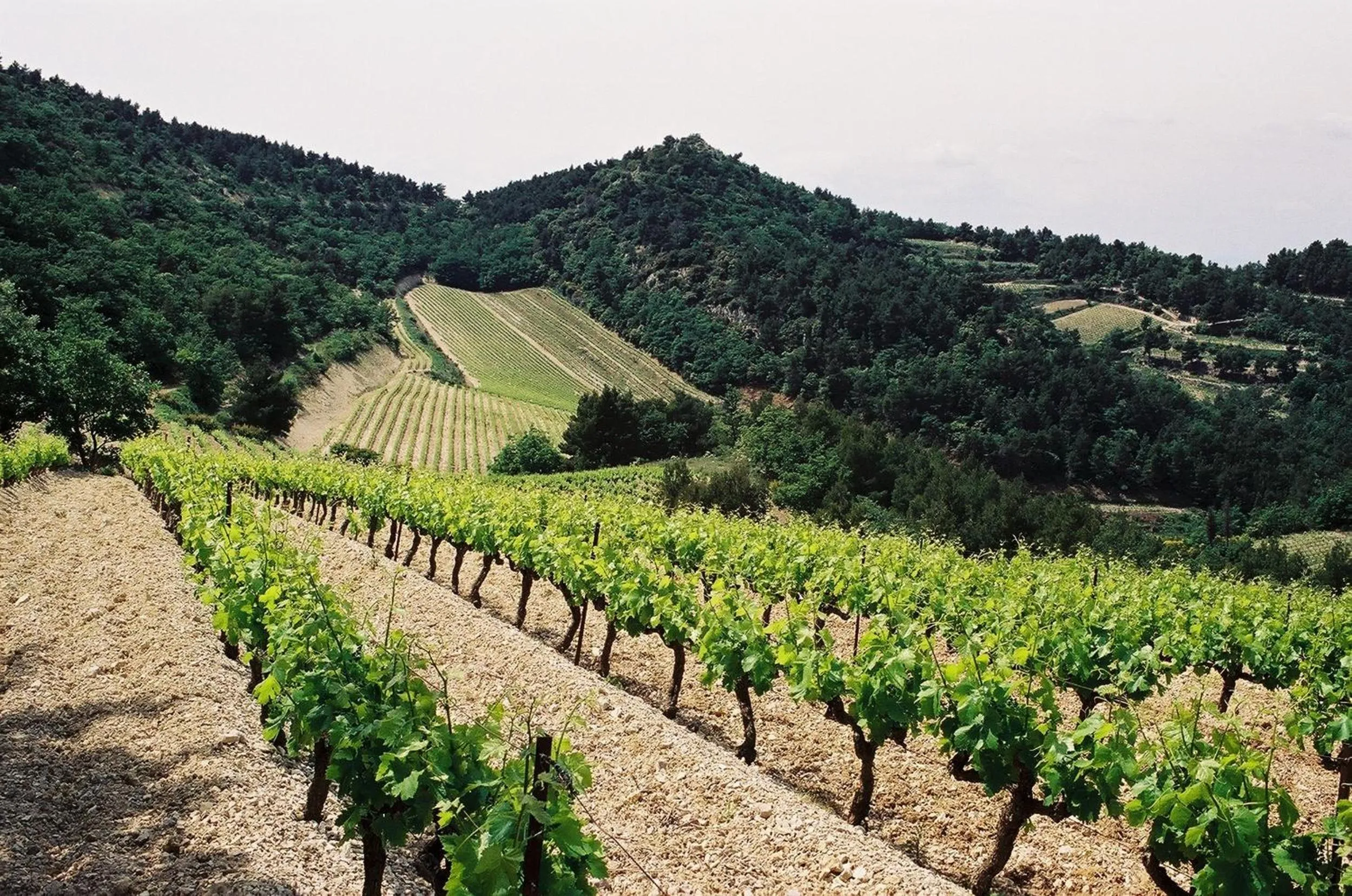Area and facilities in Hôtel Le Pradet