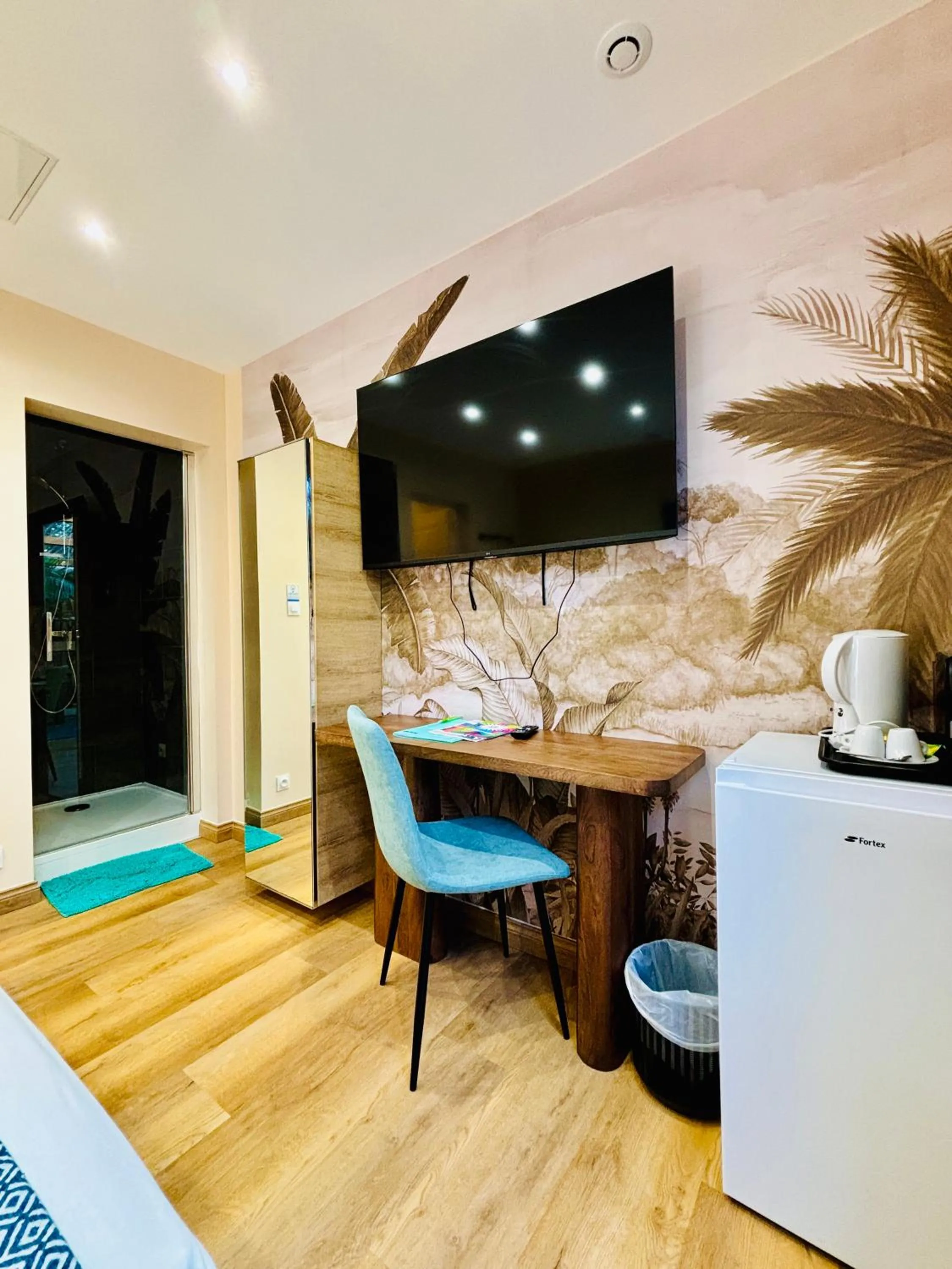 TV and multimedia in Hôtel Coco Island