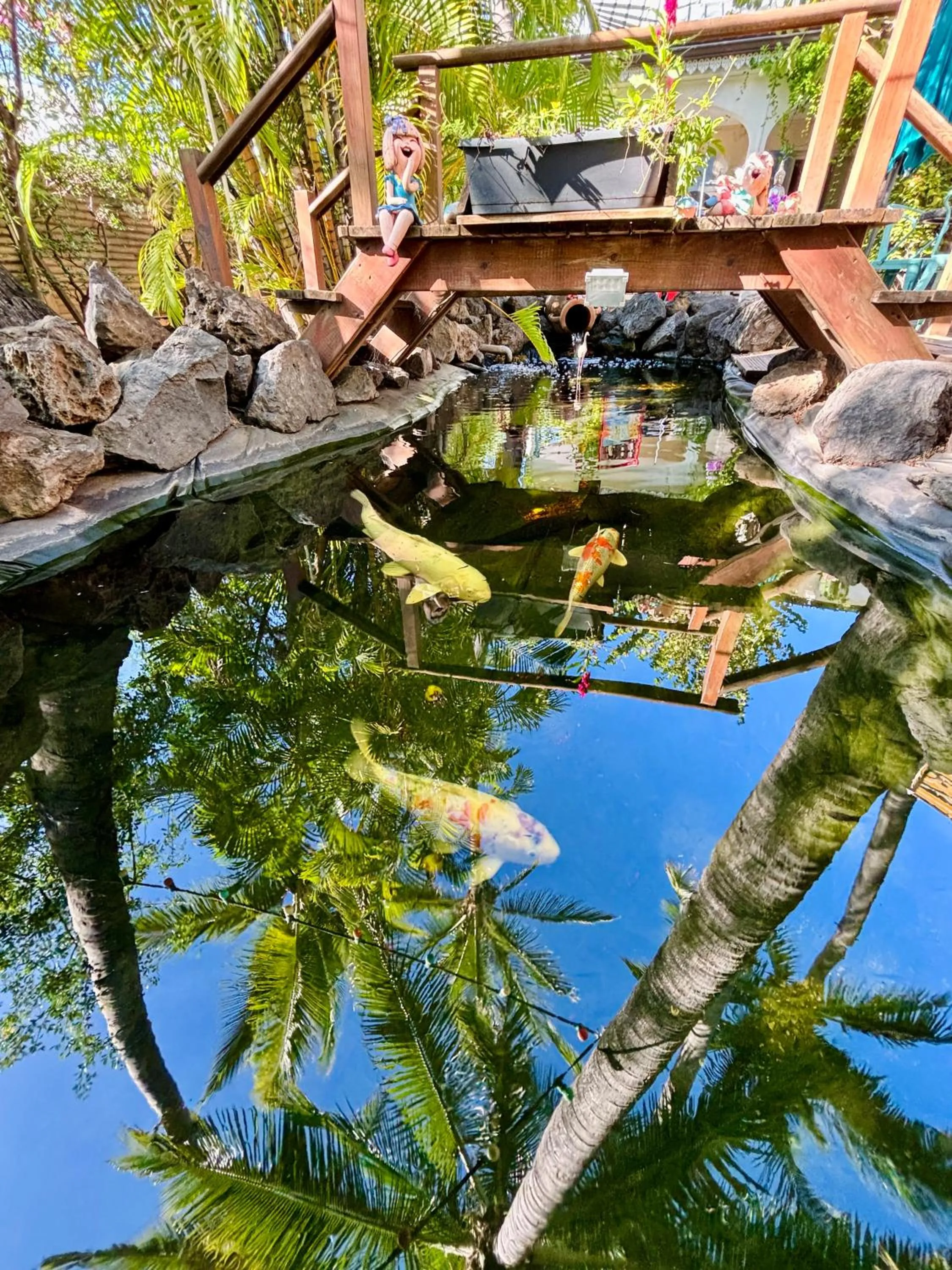 Garden in Hôtel Coco Island