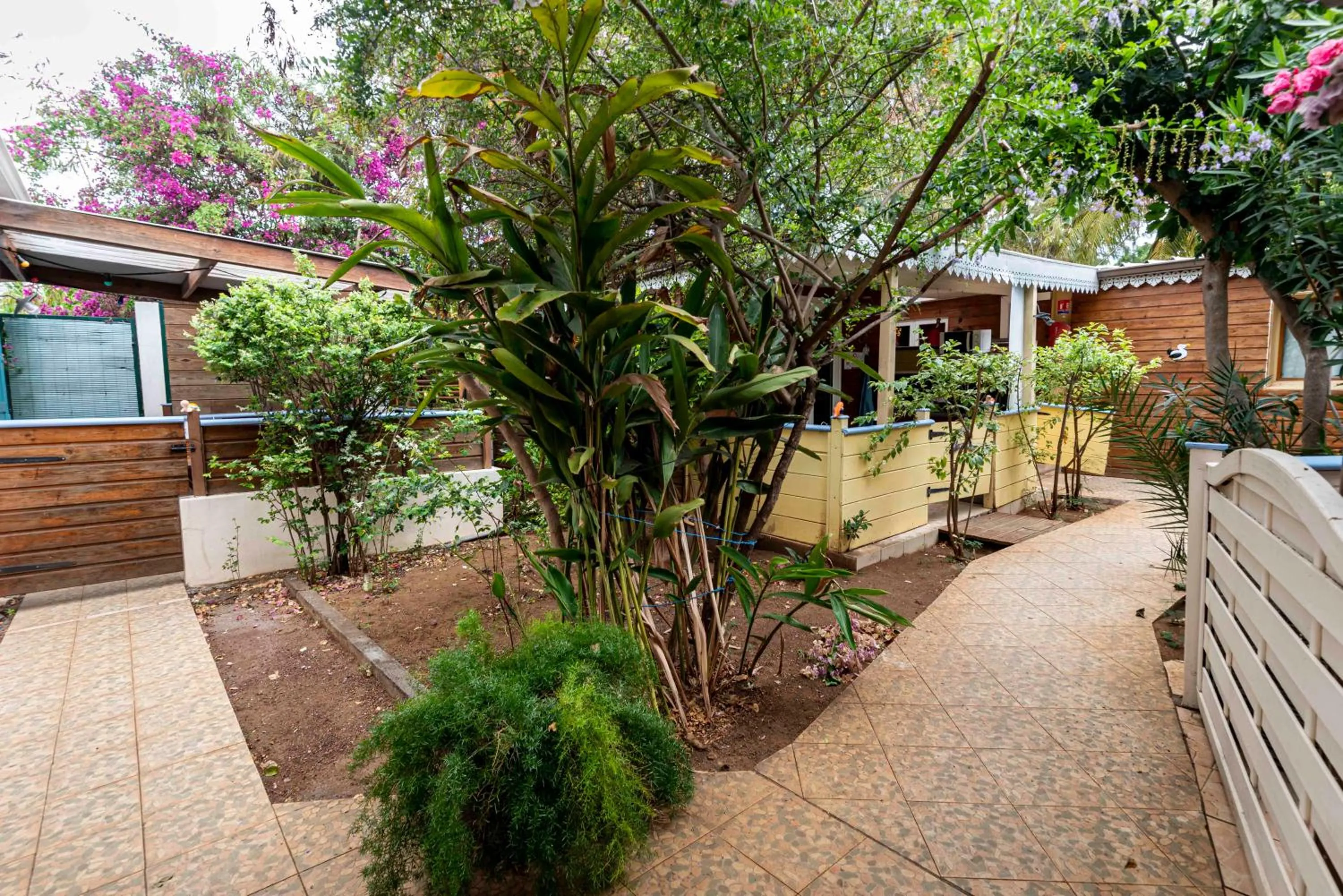 Garden in Hôtel Coco Island